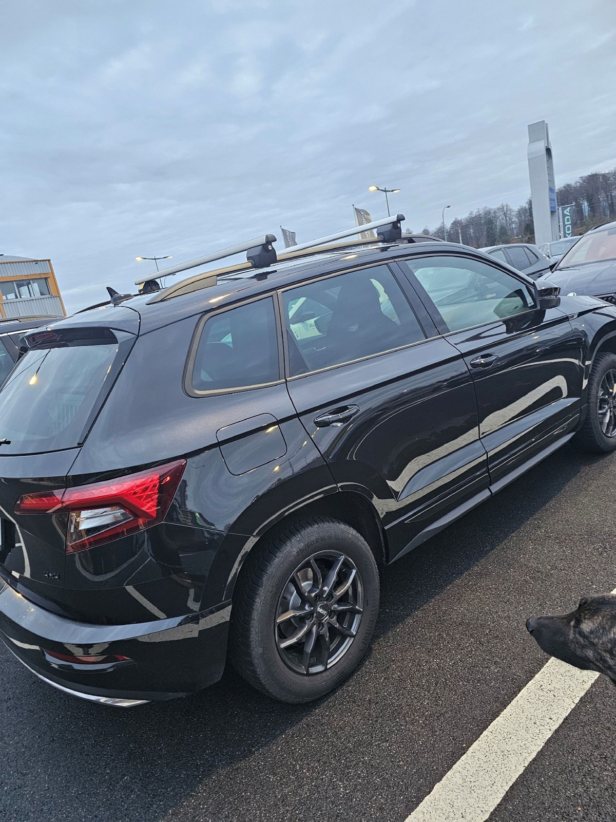 SKODA Karoq 2.0 TSI SportLine 4x4 DSG