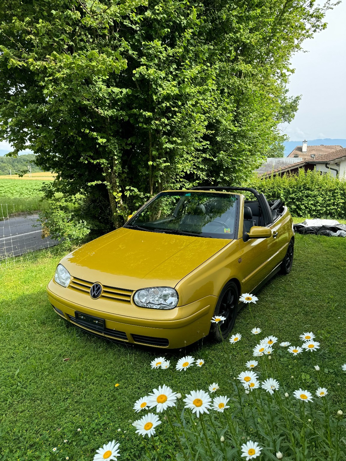 VW GOLF Cabriolet 2000 Highline