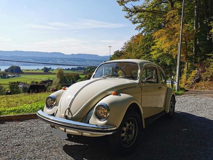 VW Käfer 1300