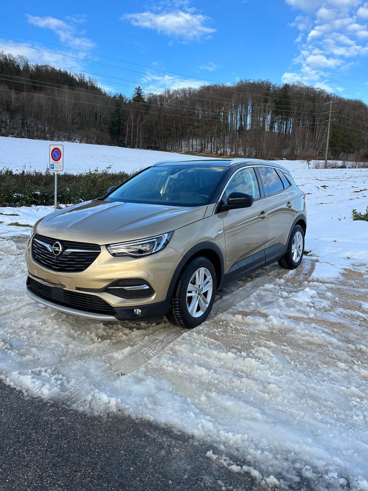 OPEL Grandland X 2.0CDTi Ultimate Automatik