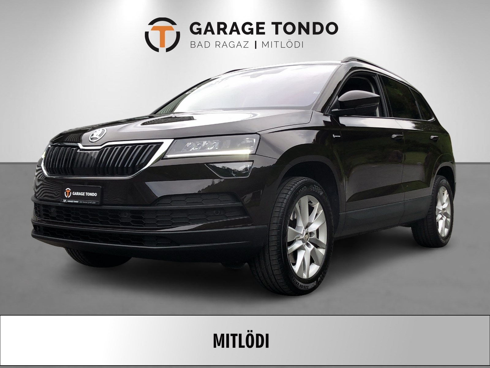 SKODA Karoq 2.0 TDI Ambition 4x4 DSG