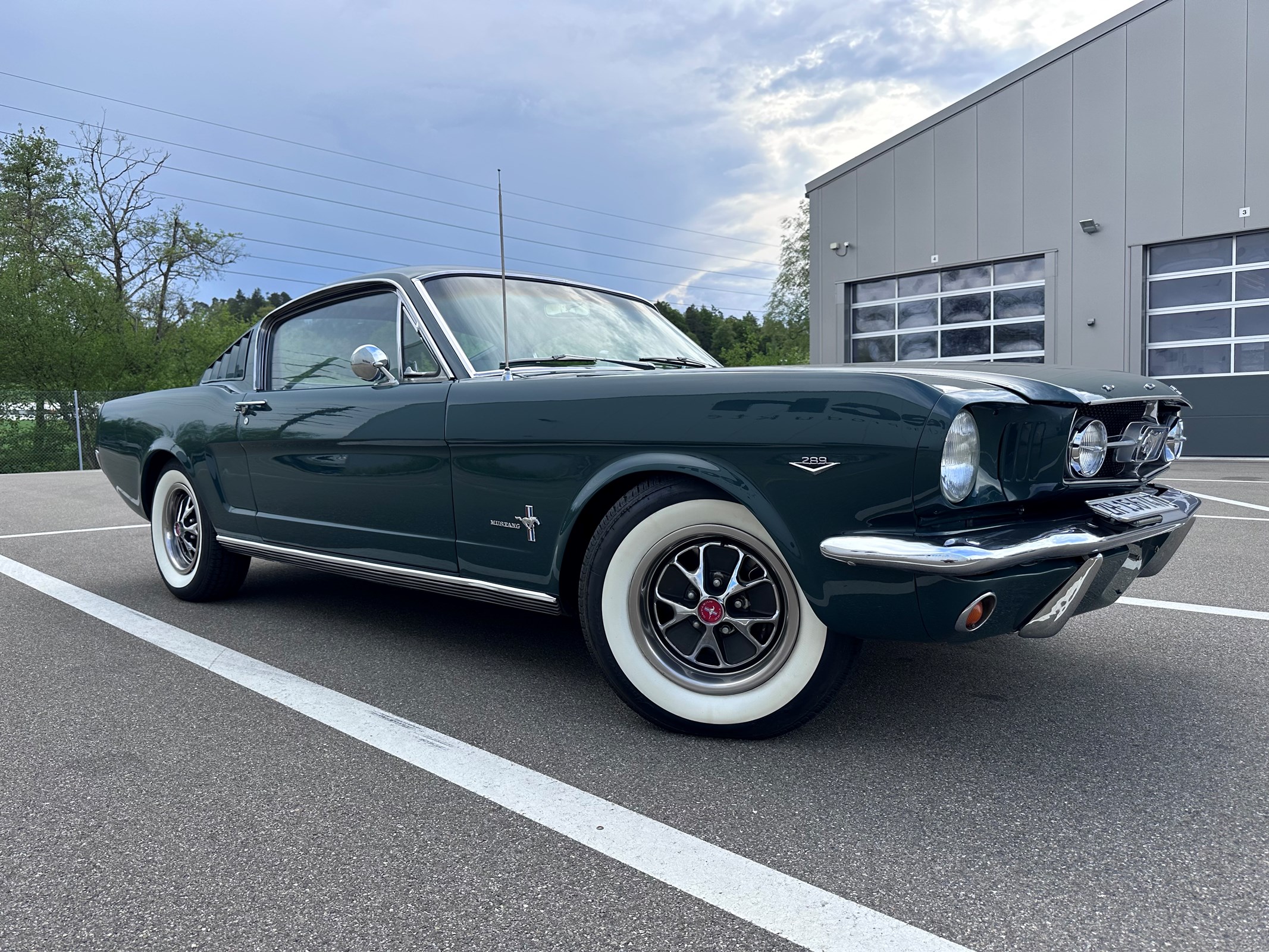 FORD MUSTANG Fastback GT