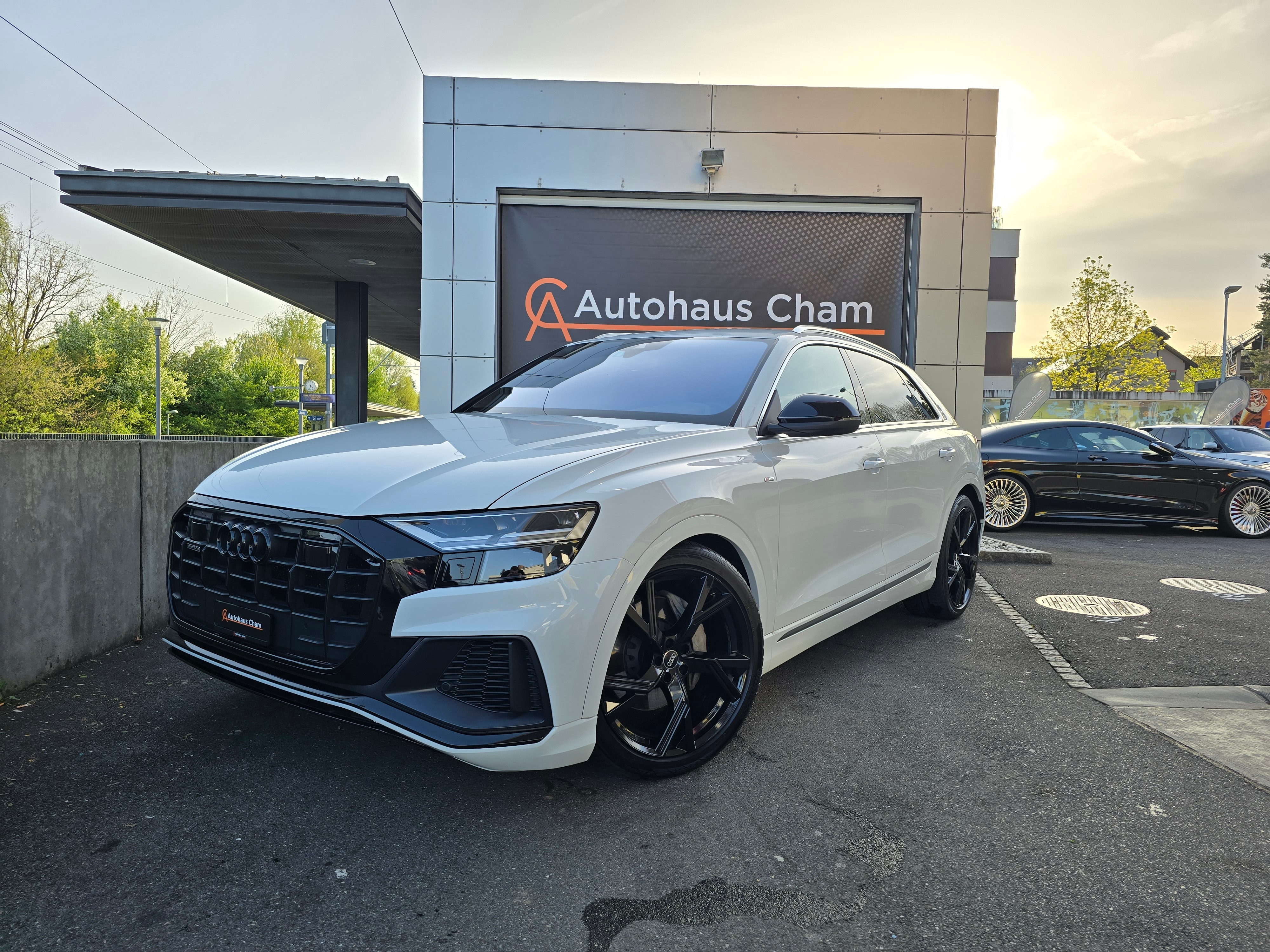 AUDI Q8 50 TDI quattro tiptronic