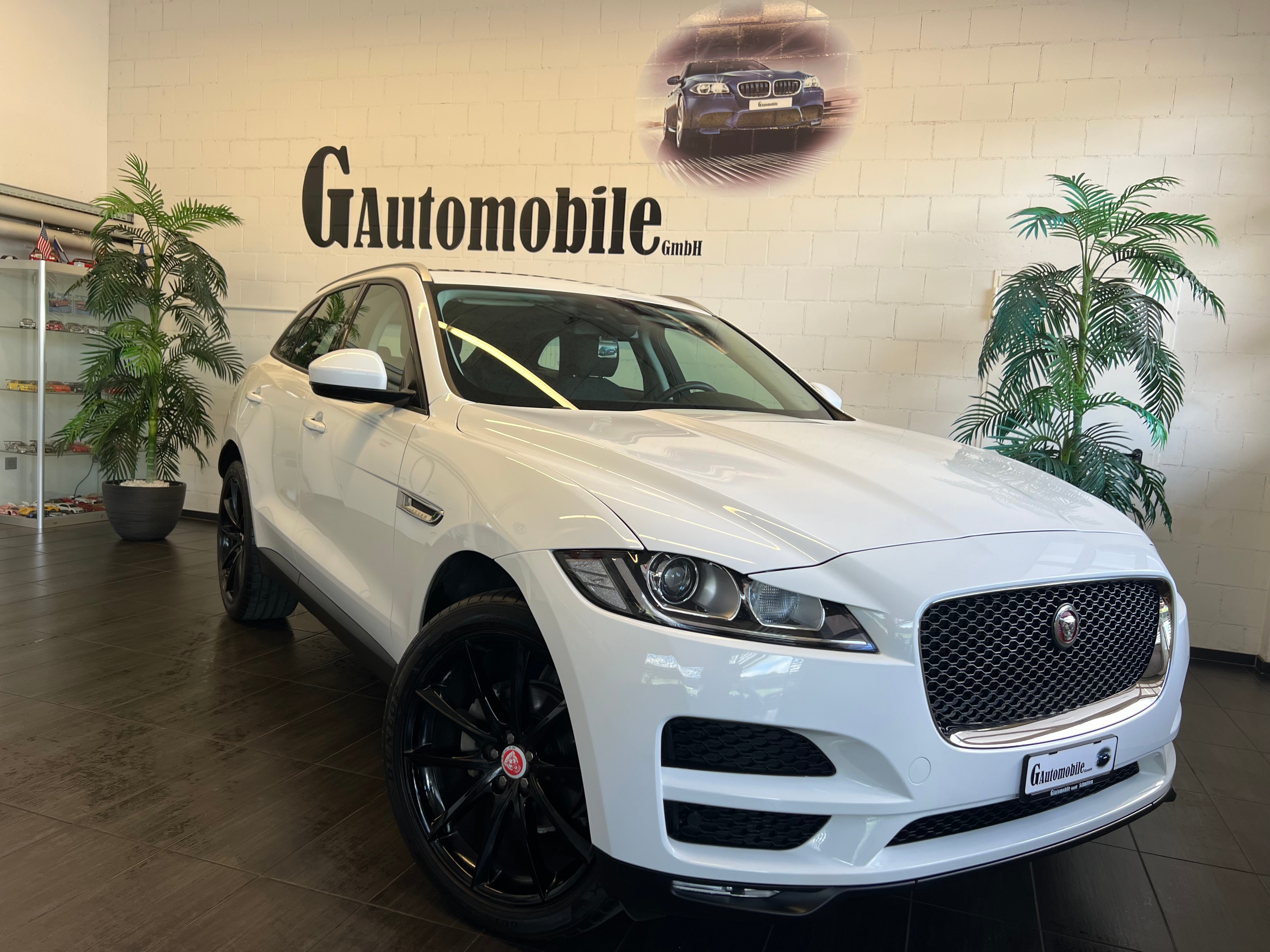 JAGUAR F-Pace 2.0d Pure AWD Automatik