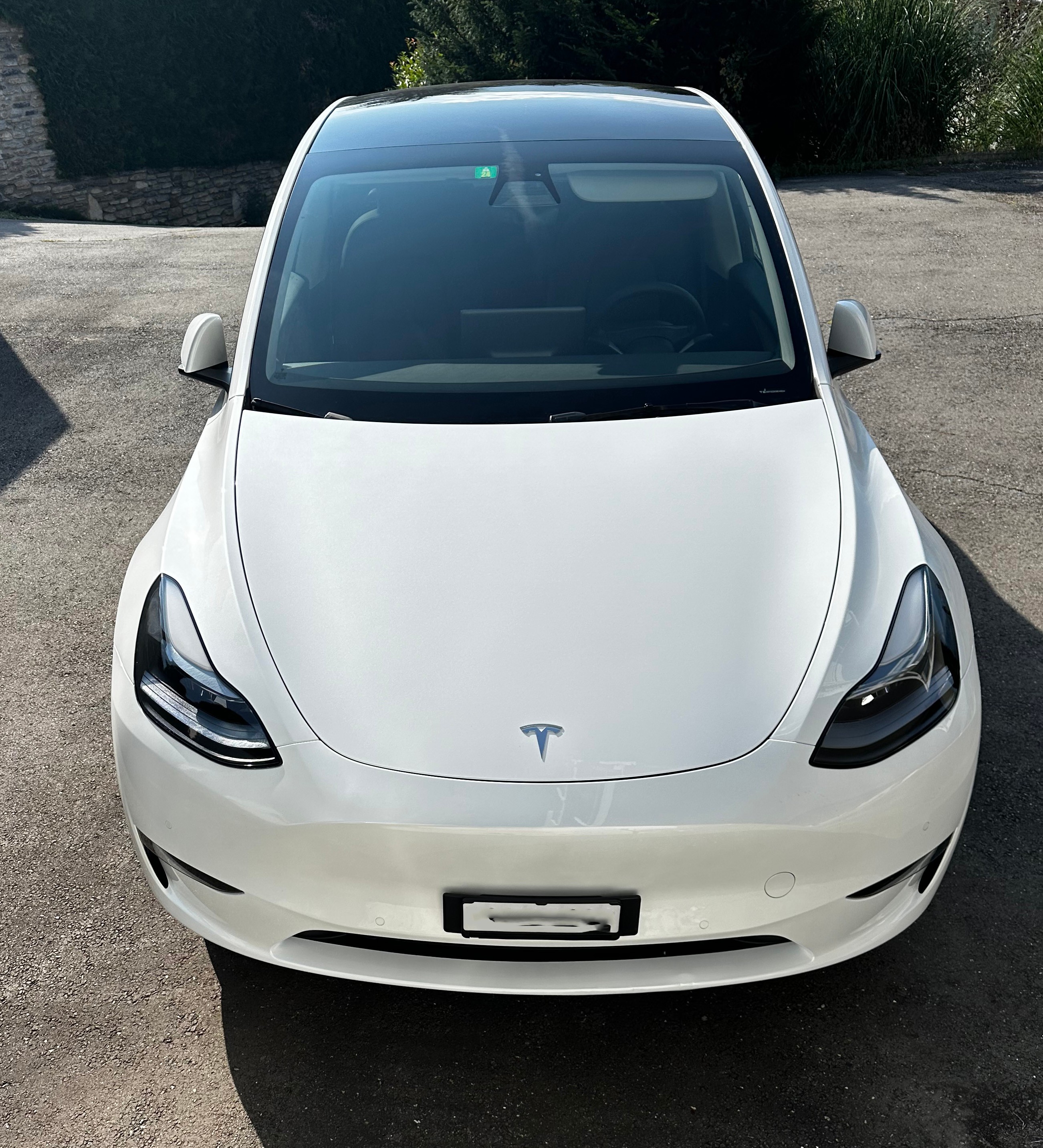 TESLA Model Y Performance