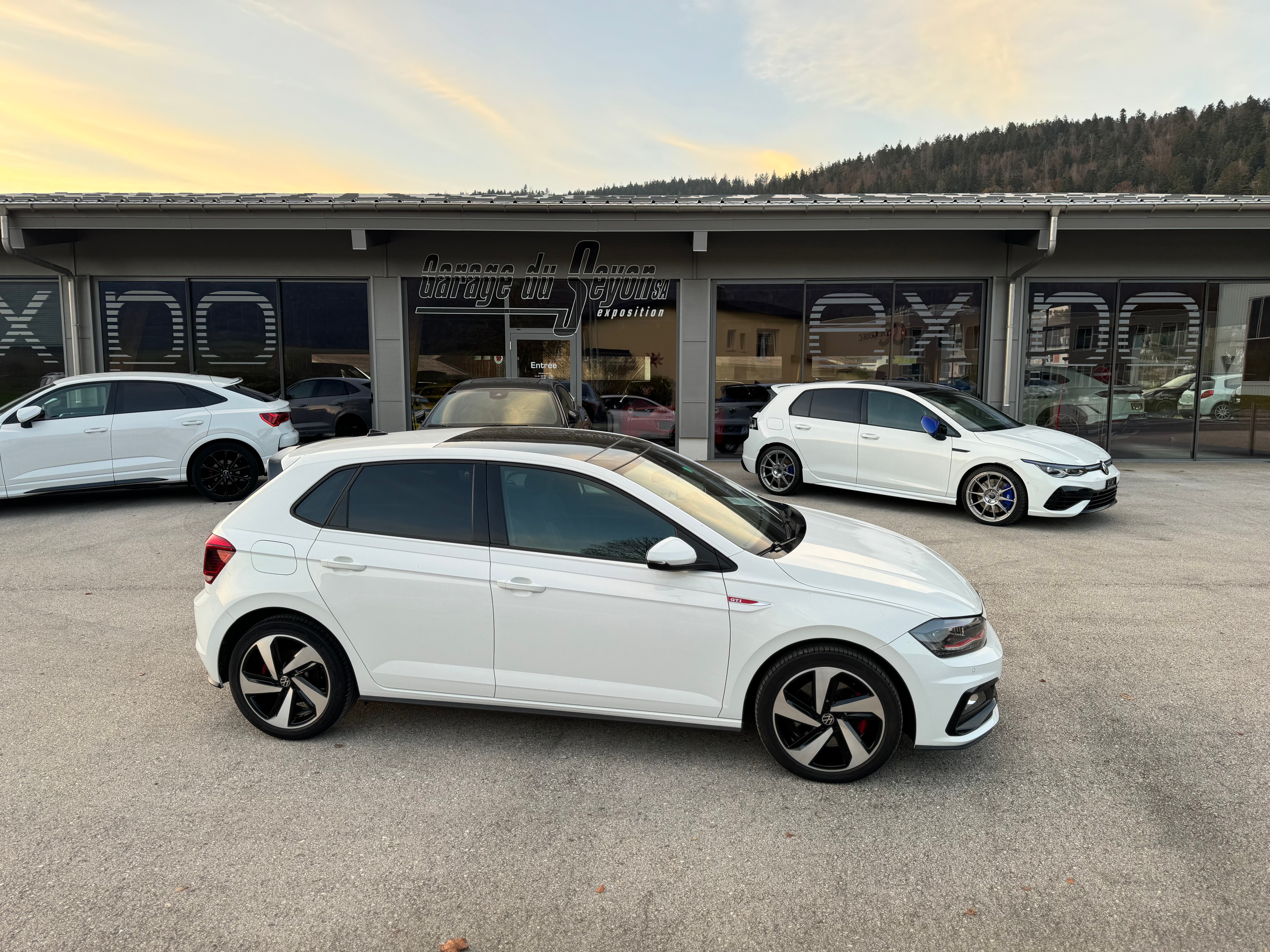 VW Polo 2.0 TSI GTI DSG