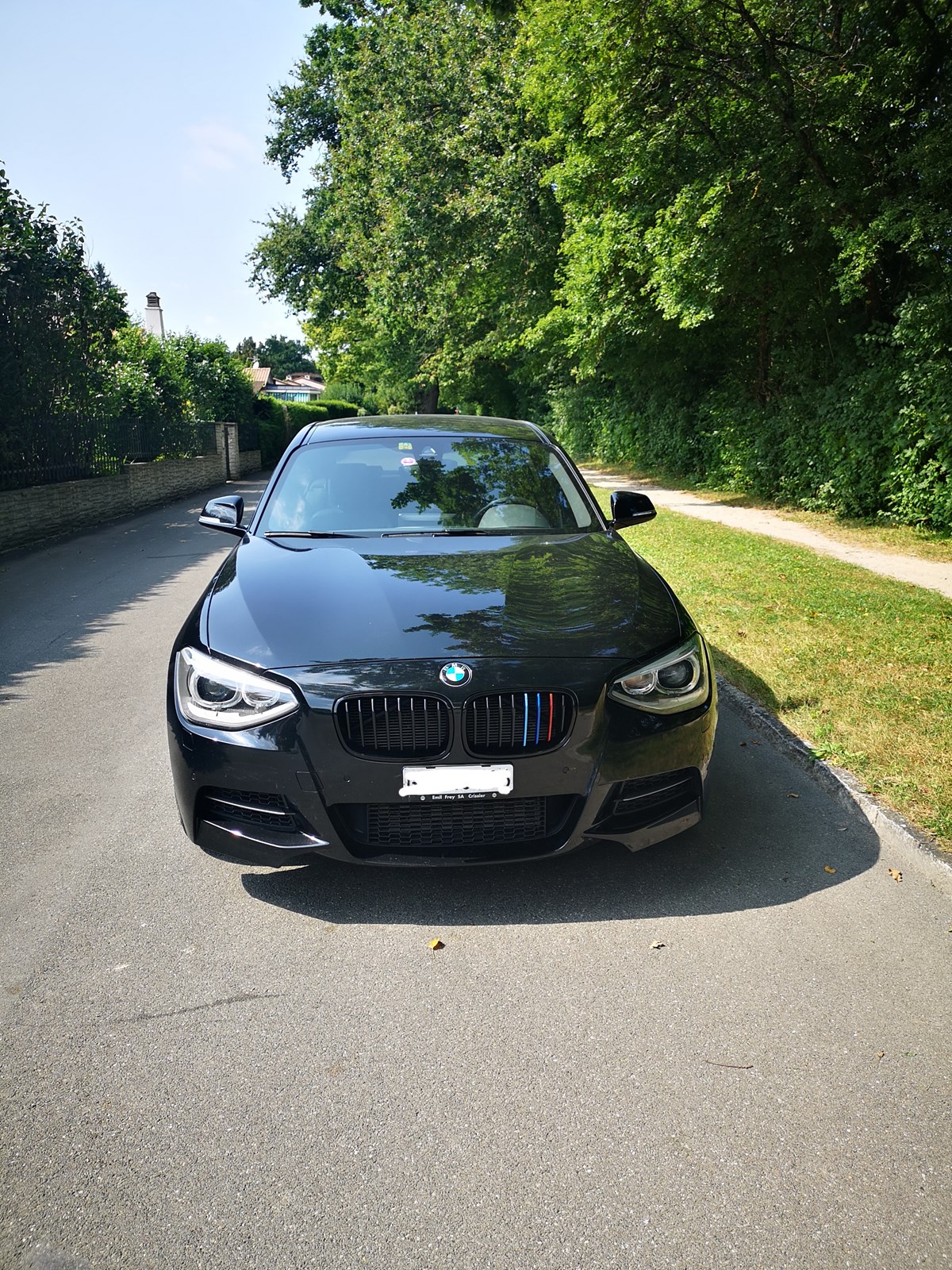 BMW M135i xDrive Steptronic