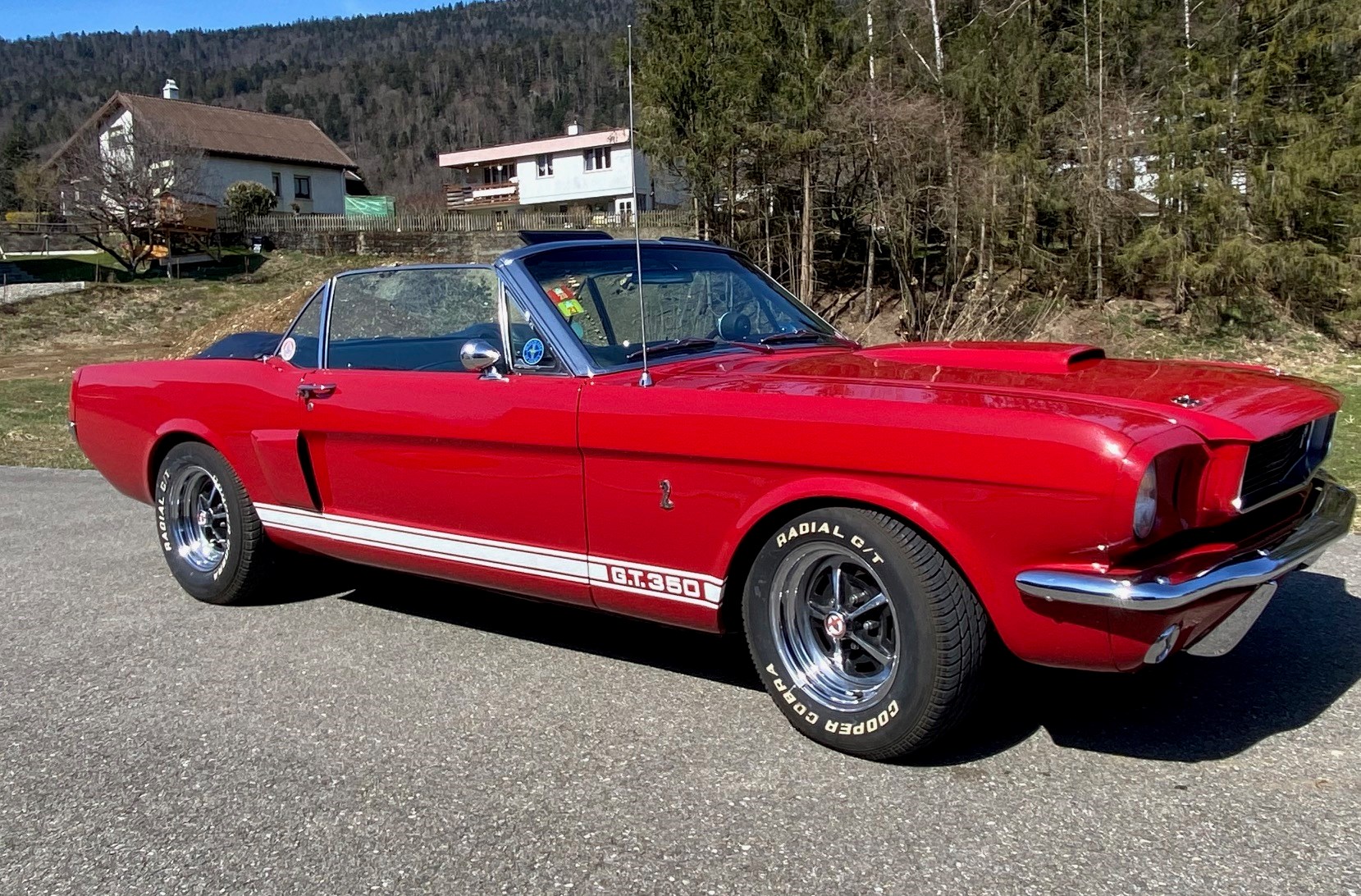 FORD MUSTANG Cabrio GT350 Tribut