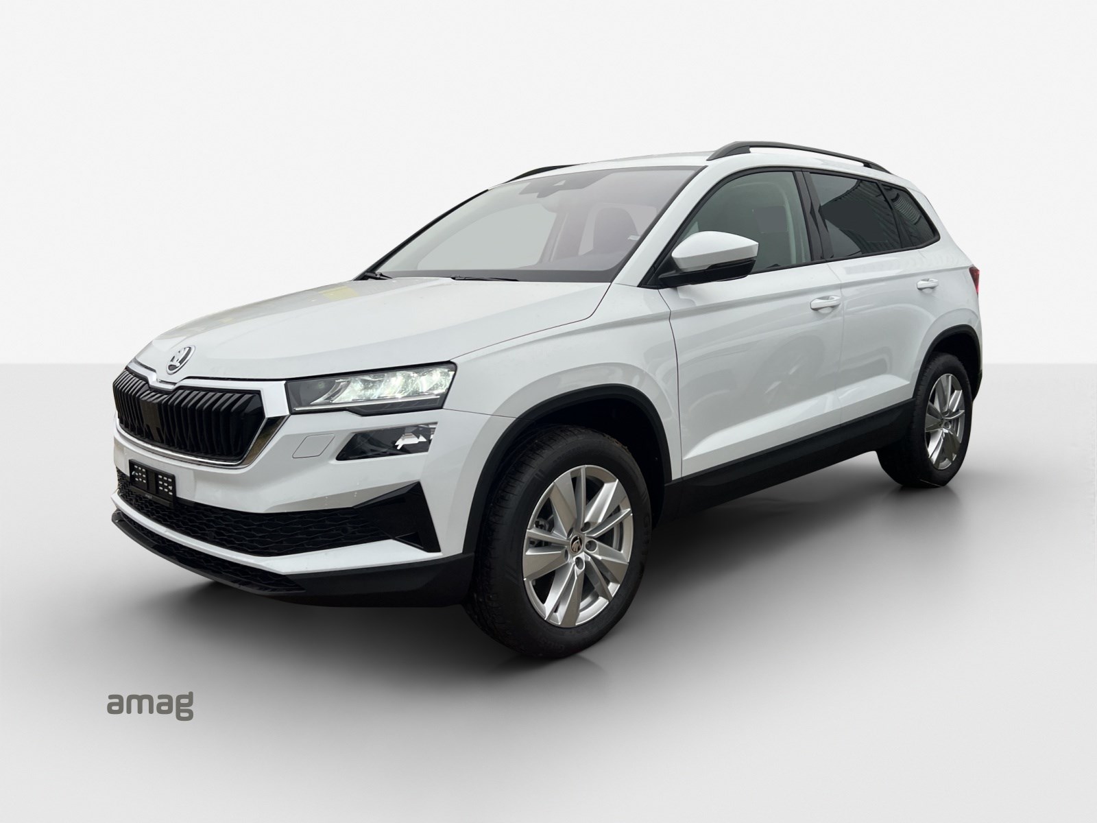 SKODA Karoq 2.0 TDI CR Selection 4x4 DSG