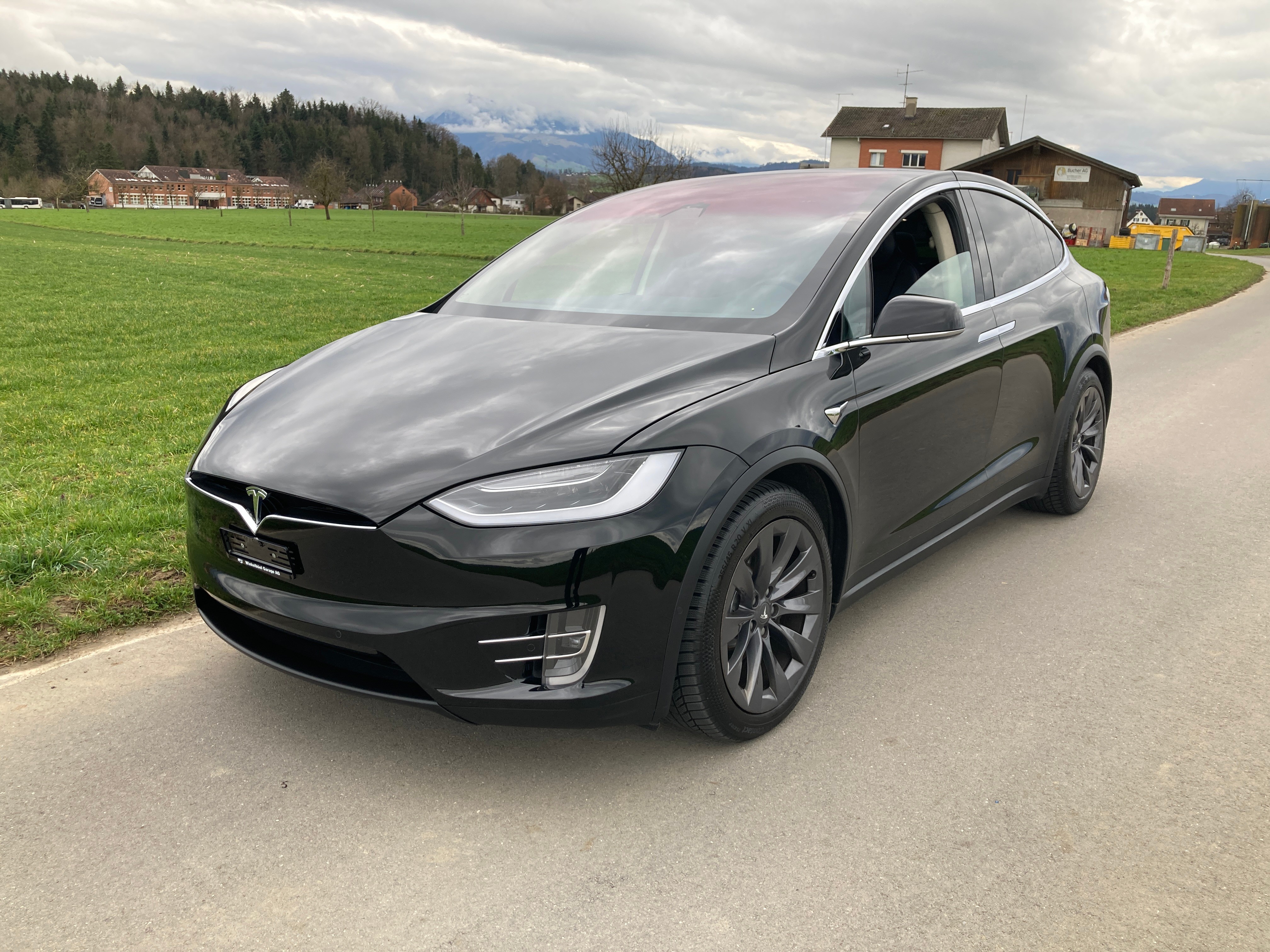 TESLA Model X 100 D *7 Sitzer *Anhängerkupplung*