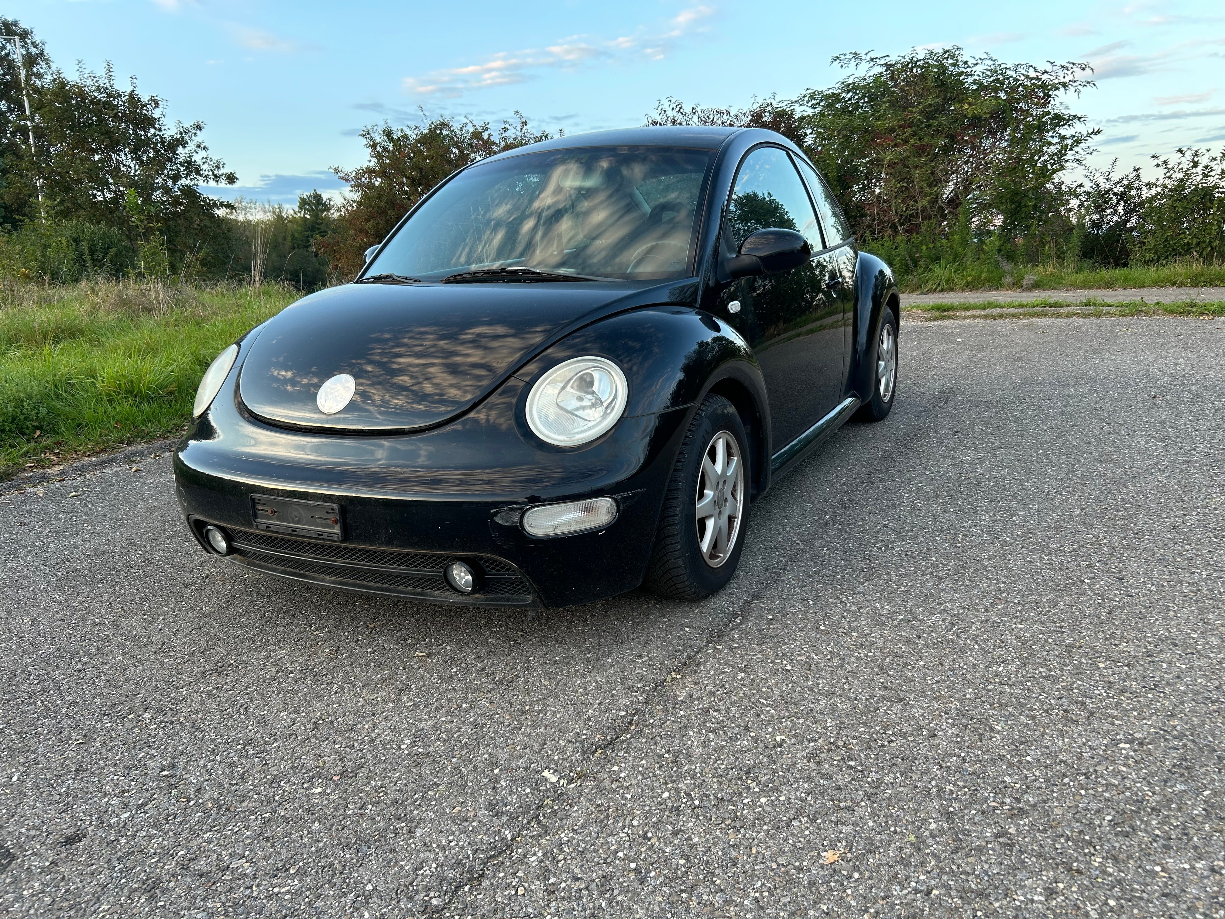 VW Beetle 1.8 T Swiss Skater