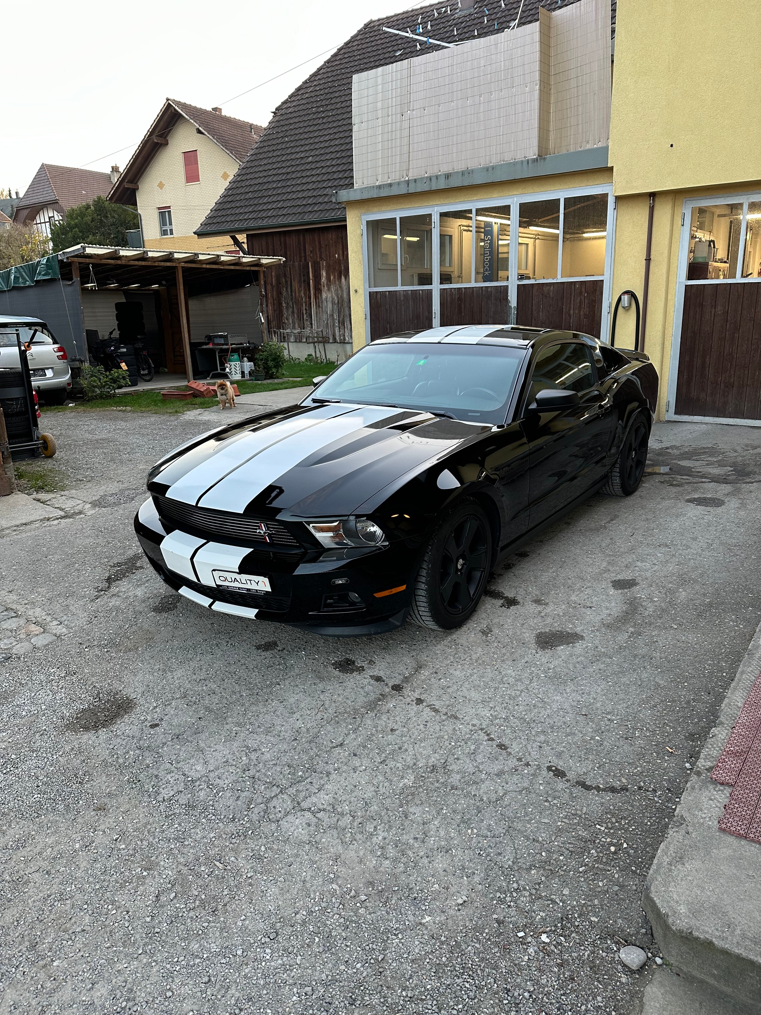 FORD MUSTANG