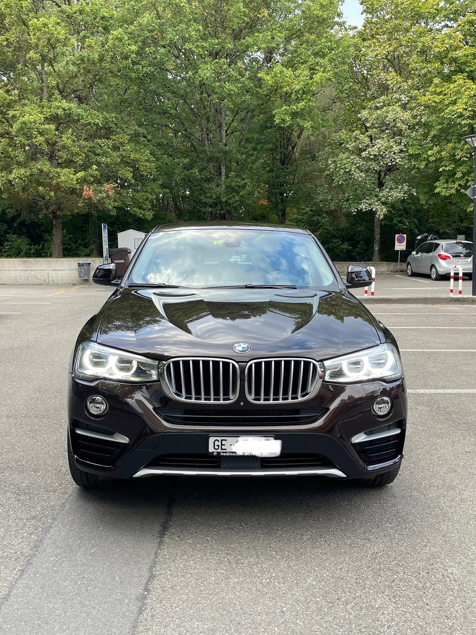 BMW X4 xDrive 30d xLine Steptronic