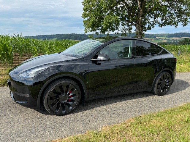 TESLA Model Y Performance