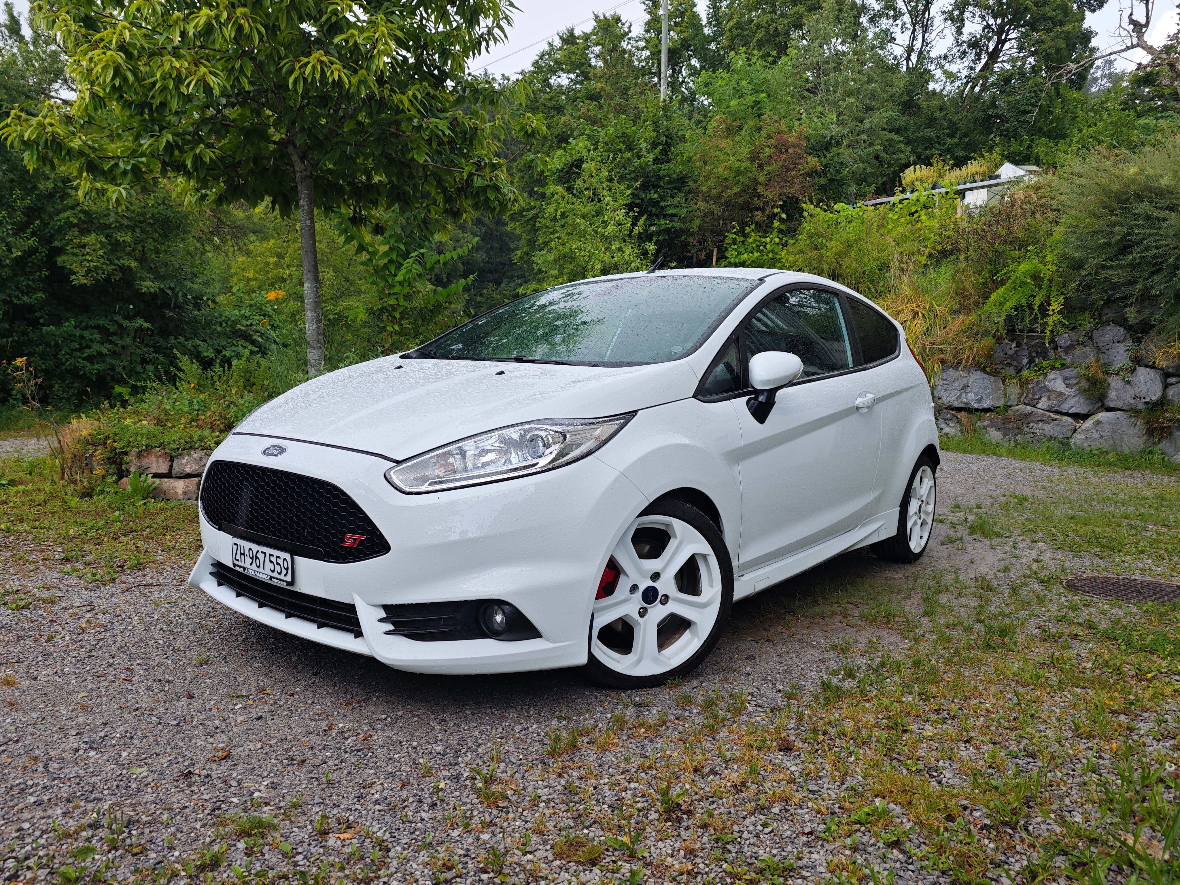 FORD Fiesta 1.6 SCTi ST-2