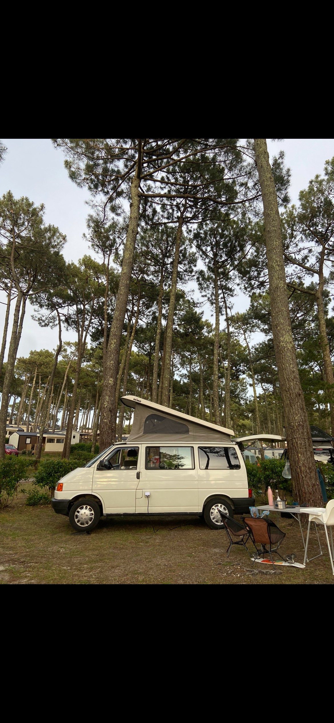 VW T4