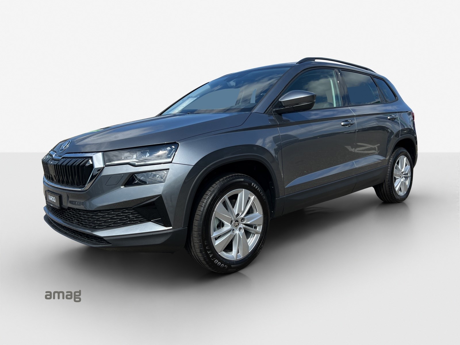 SKODA Karoq 1.5 TSI Selection DSG