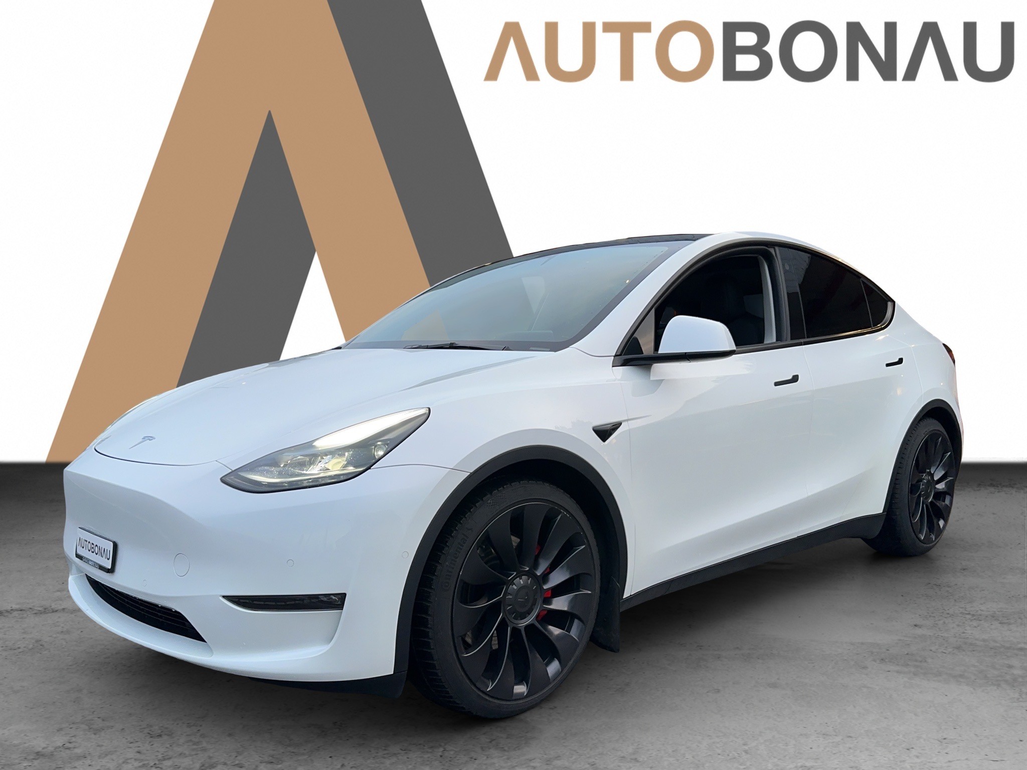 TESLA Model Y Performance