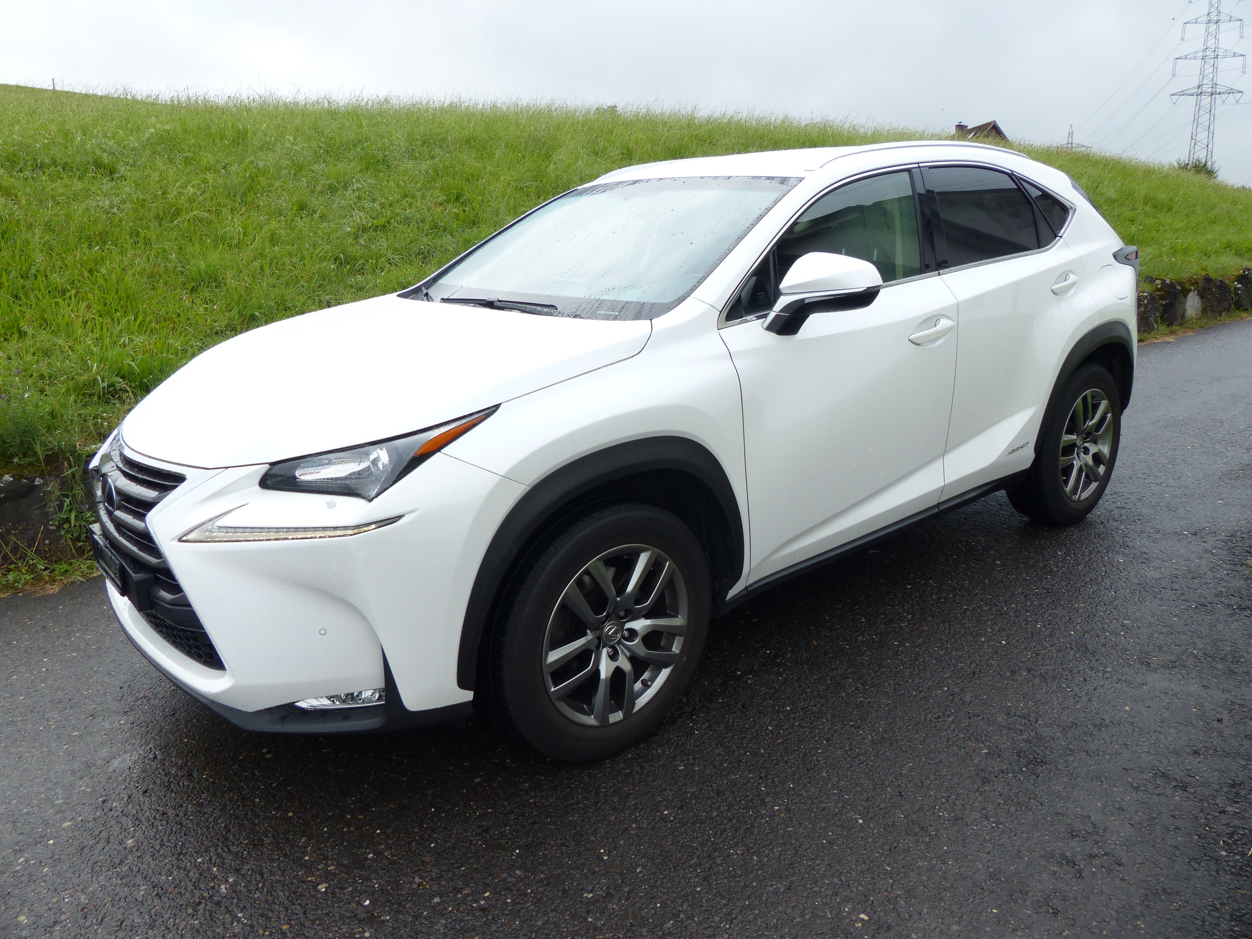 LEXUS NX 300h comfort E-Four Automatic