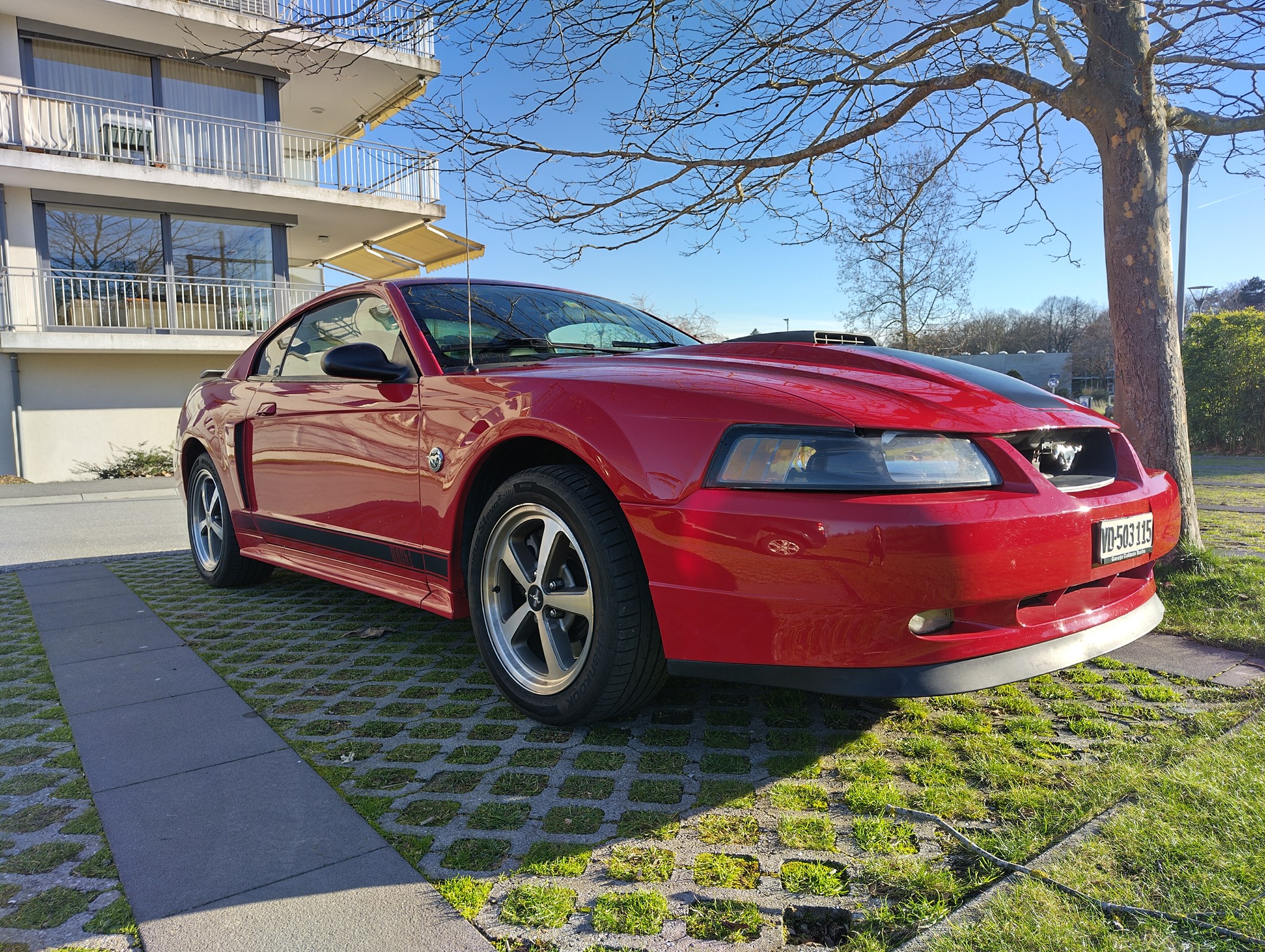 FORD MUSTANG mach 1