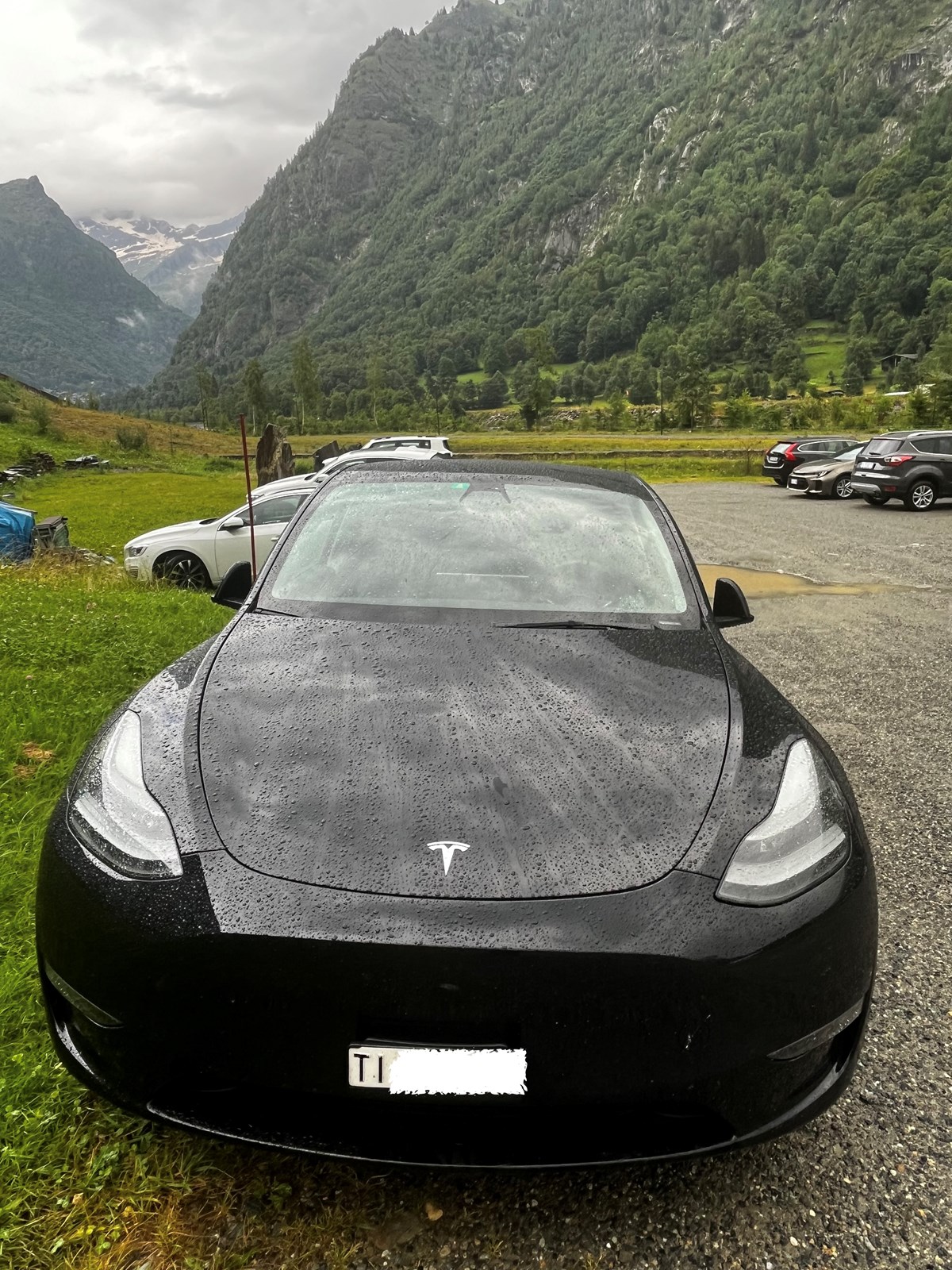 TESLA Model Y Performance