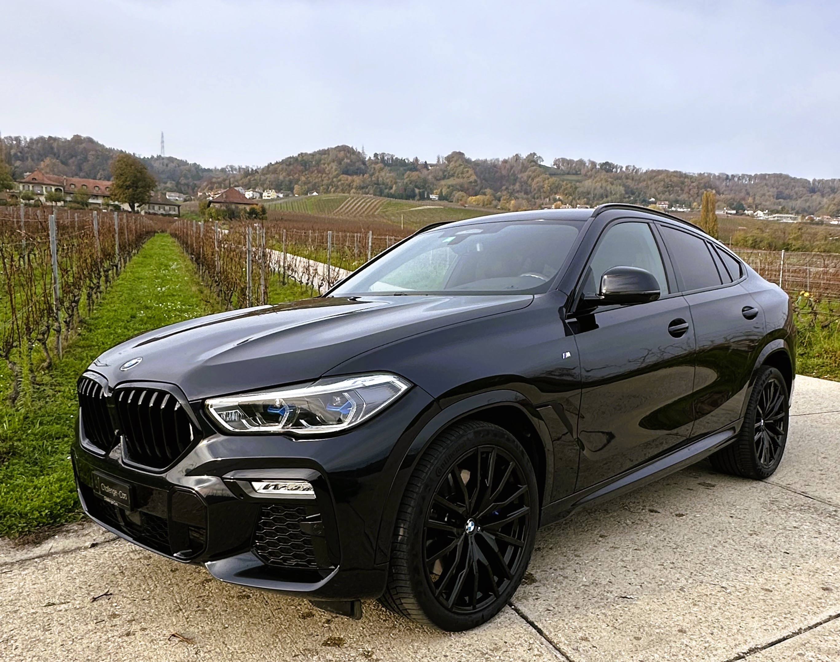 BMW X6 xDrive 48V 40d Steptronic M Sport