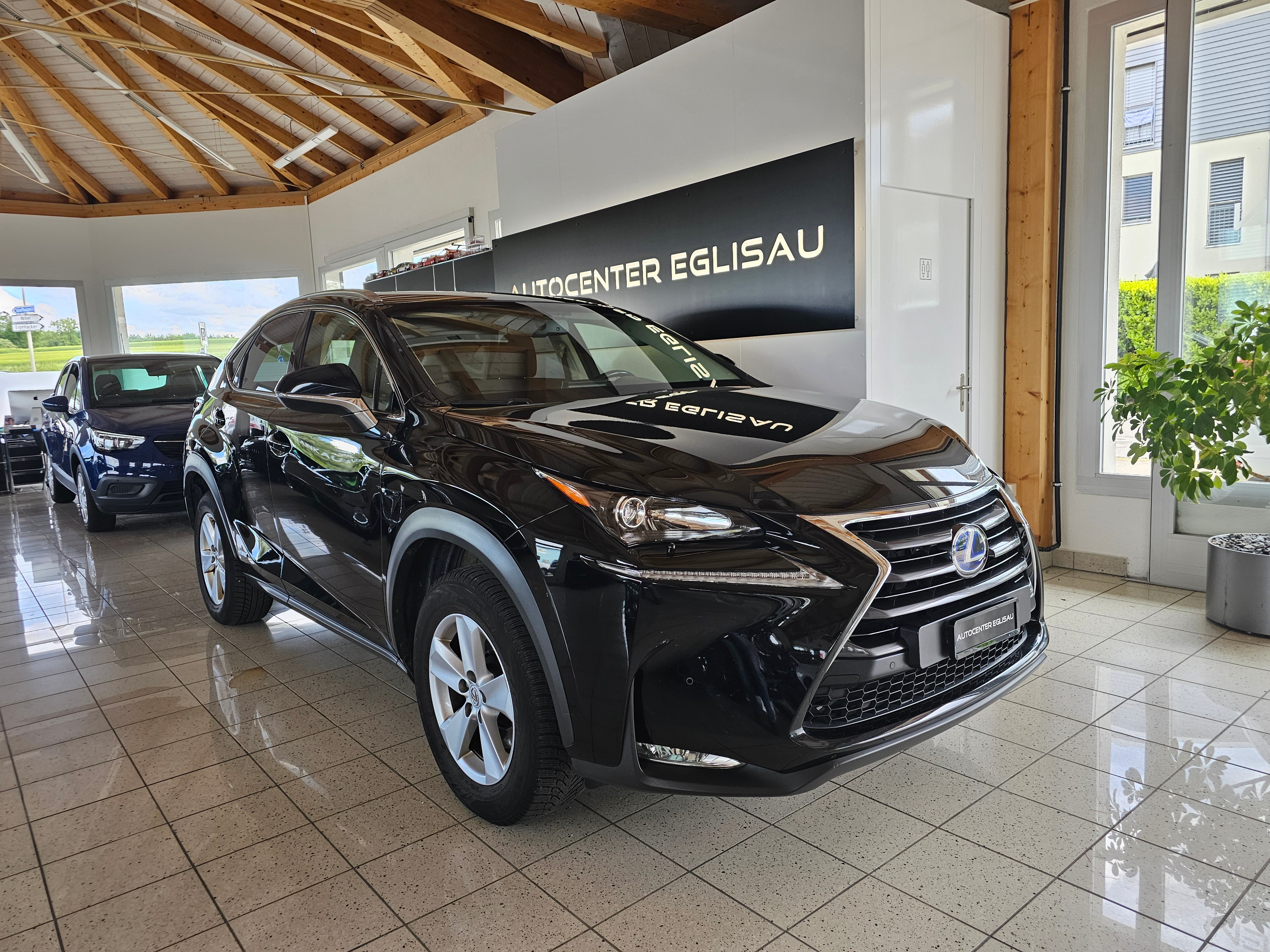 LEXUS NX 300h business E-Four Automatic