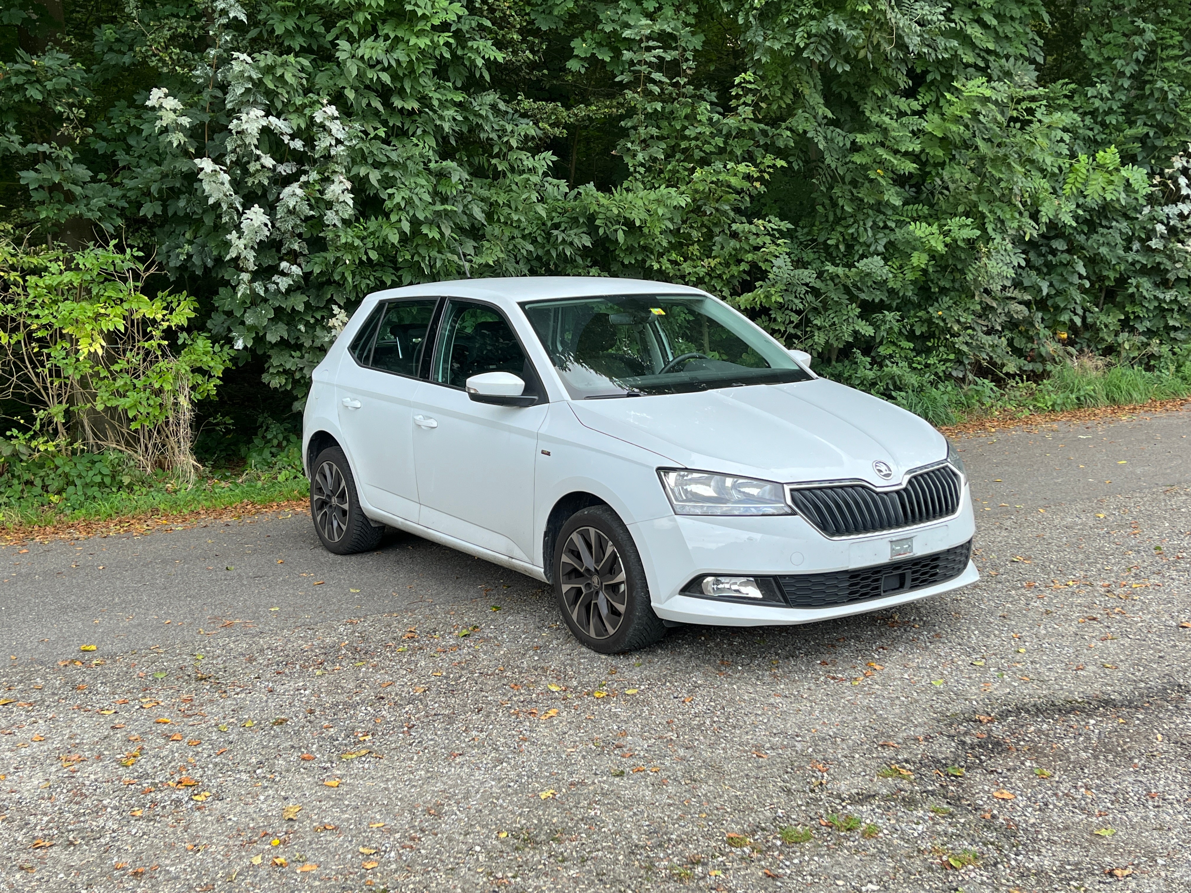 SKODA Fabia 1.0 TSI Drive DSG