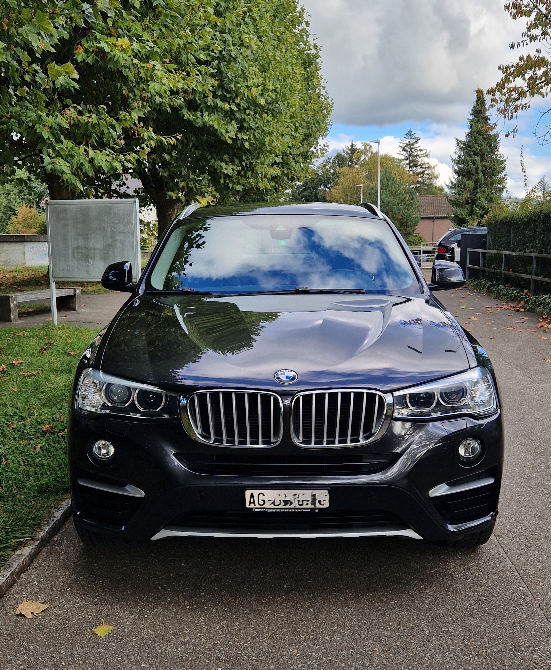 BMW X4 xDrive 20d xLine Steptronic