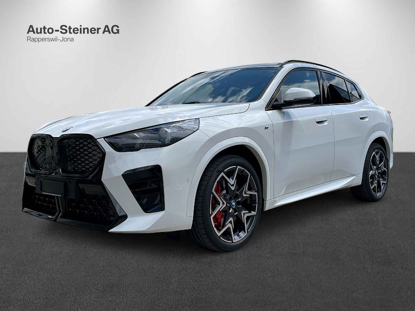 BMW iX2 xDrive 30 M Sport Pro