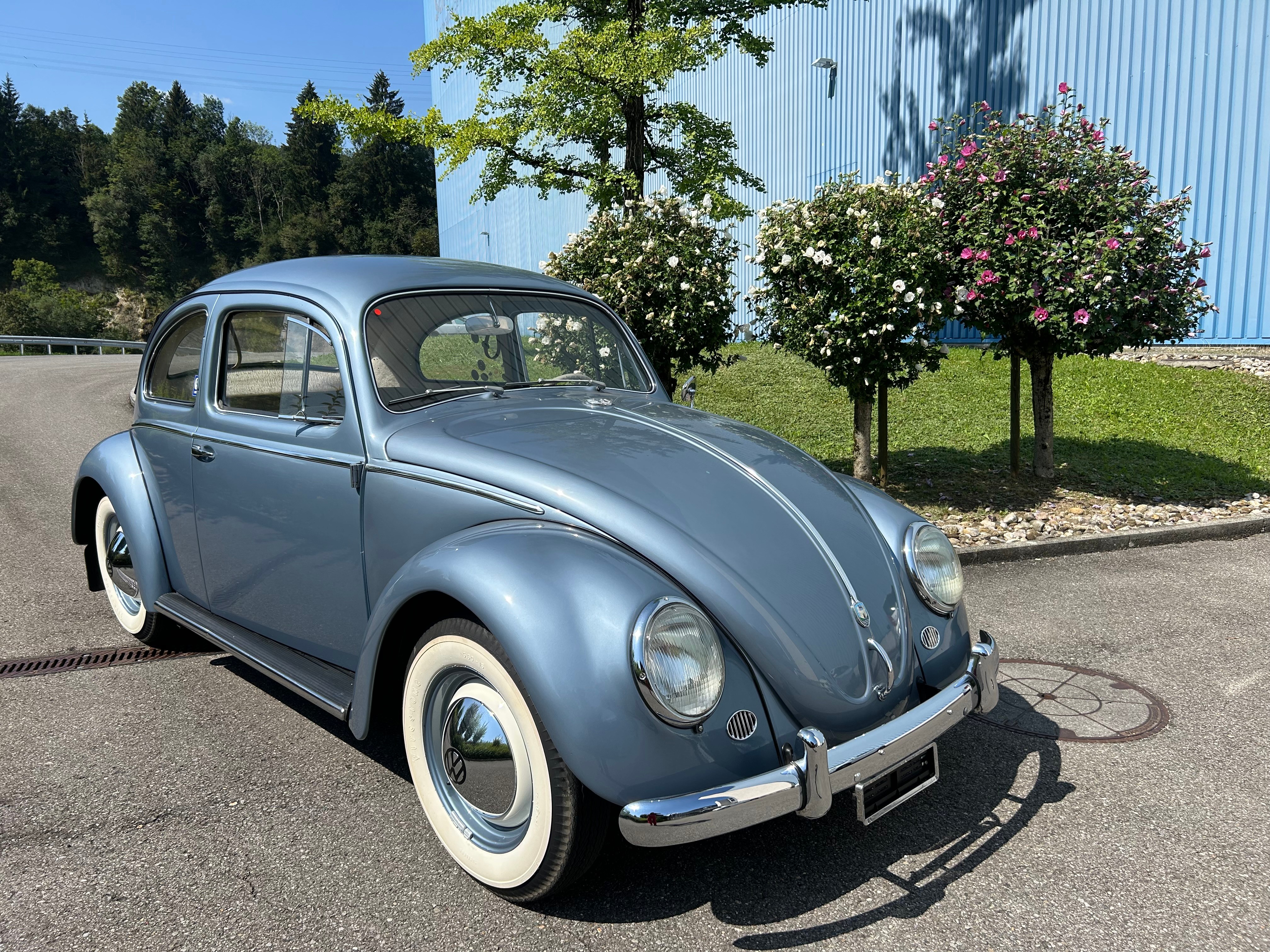 VW Käfer 1958