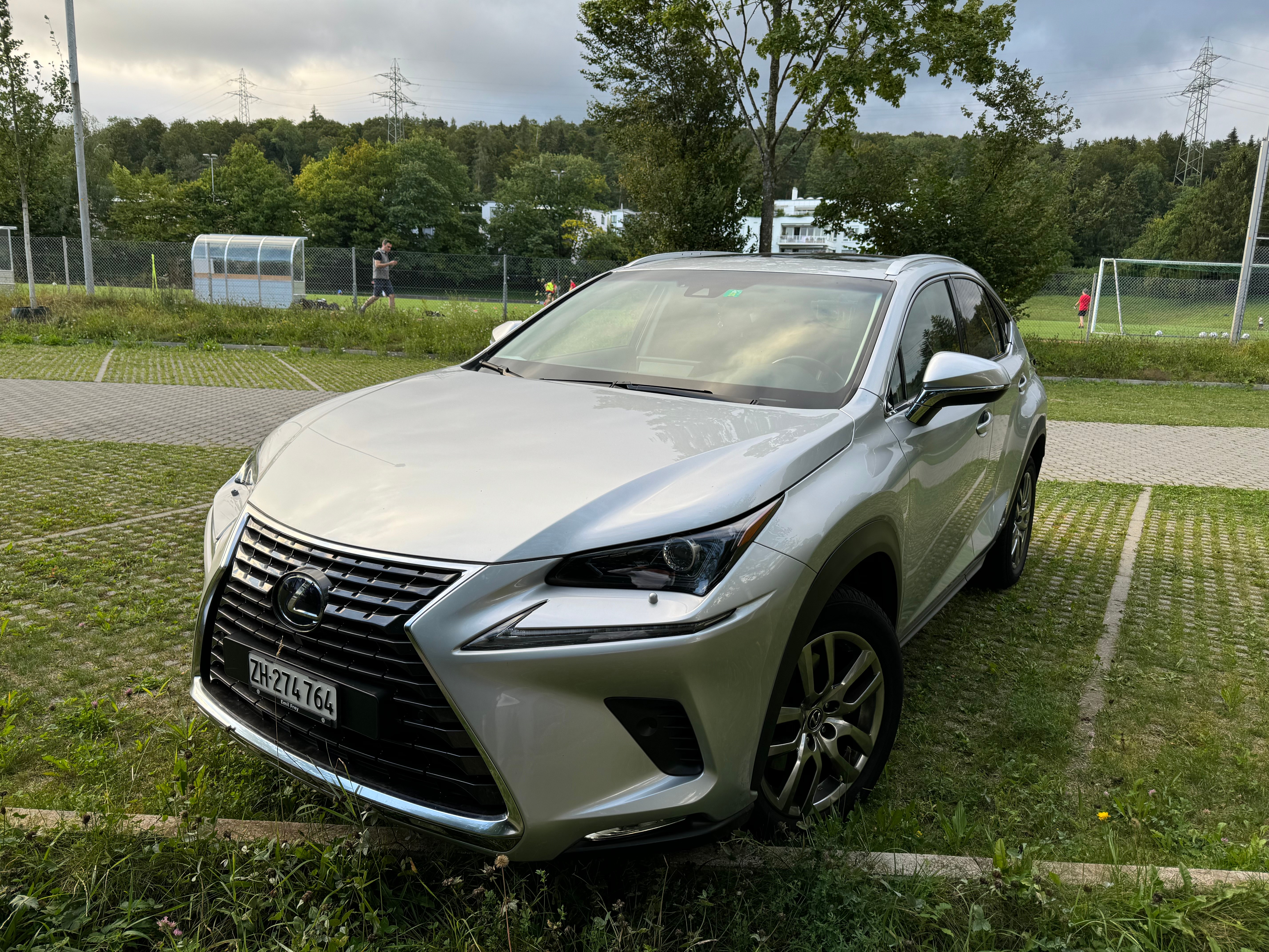 LEXUS NX 300h Comfort E-Four Automatic