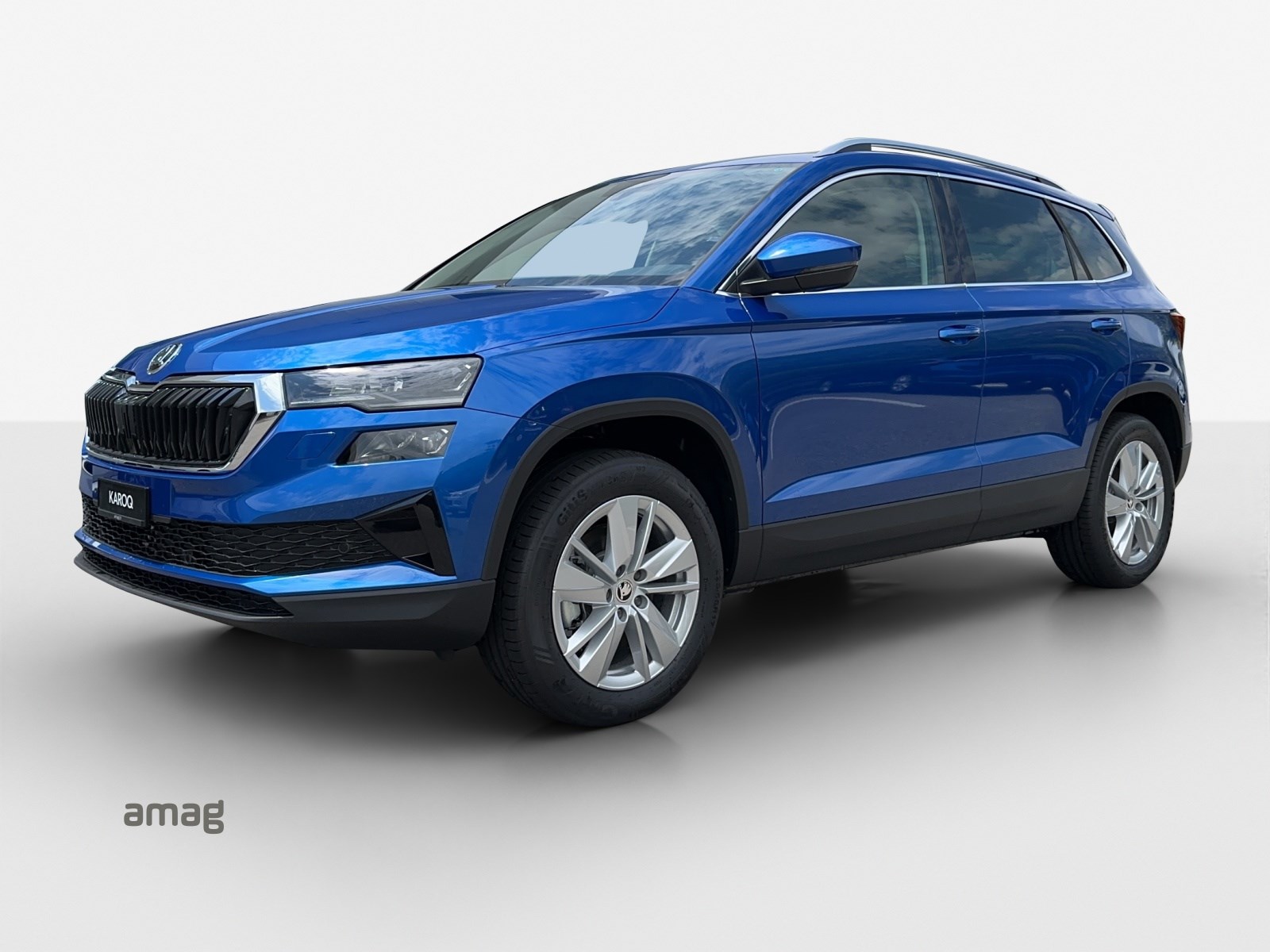 SKODA Karoq 2.0 TDI CR Selection 4x4 DSG