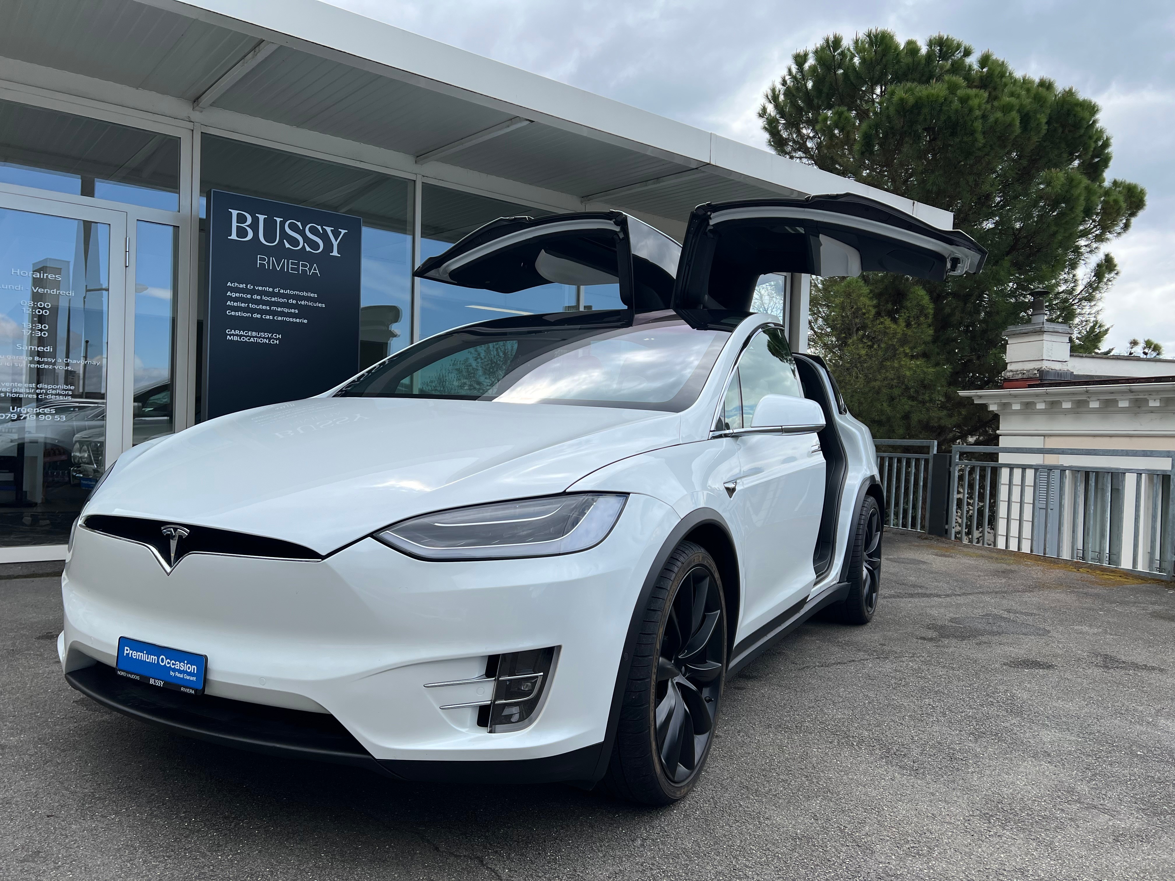 TESLA Model X 100 D