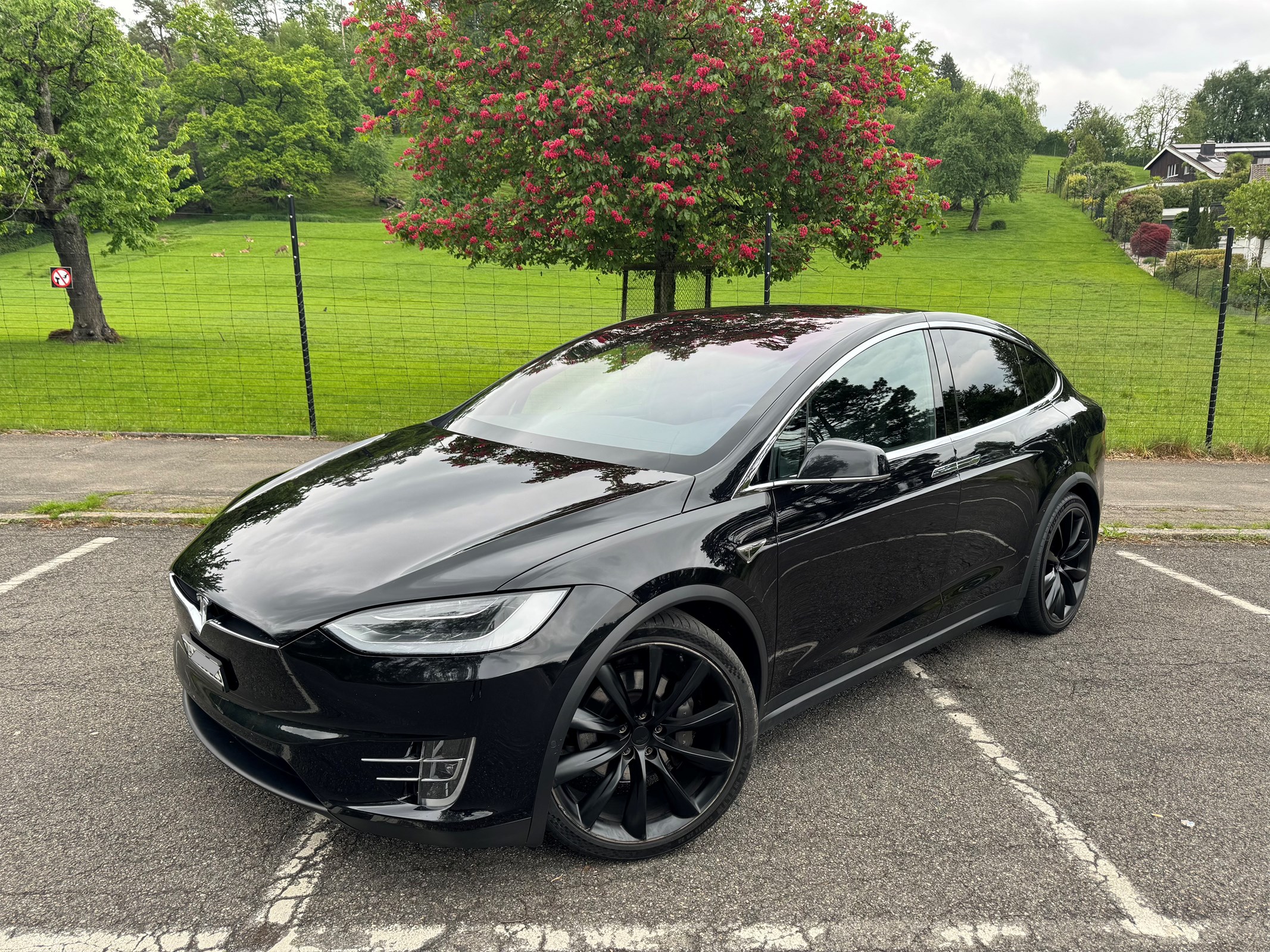 TESLA Model X 90 D