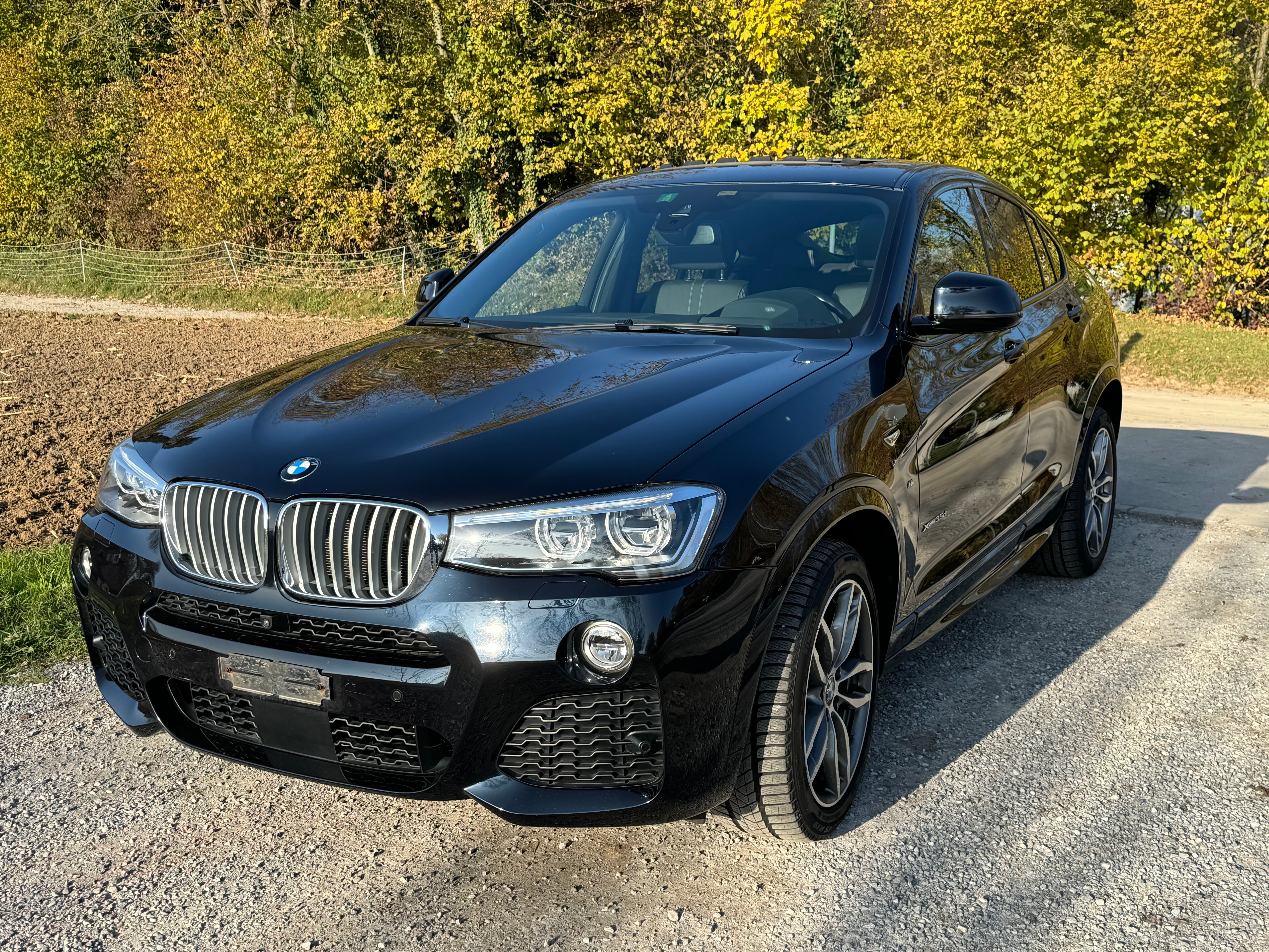 BMW X4 xDrive 35d M Sport Steptronic