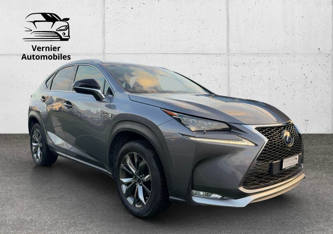 LEXUS NX 300h F-Sport E-Four Automatic