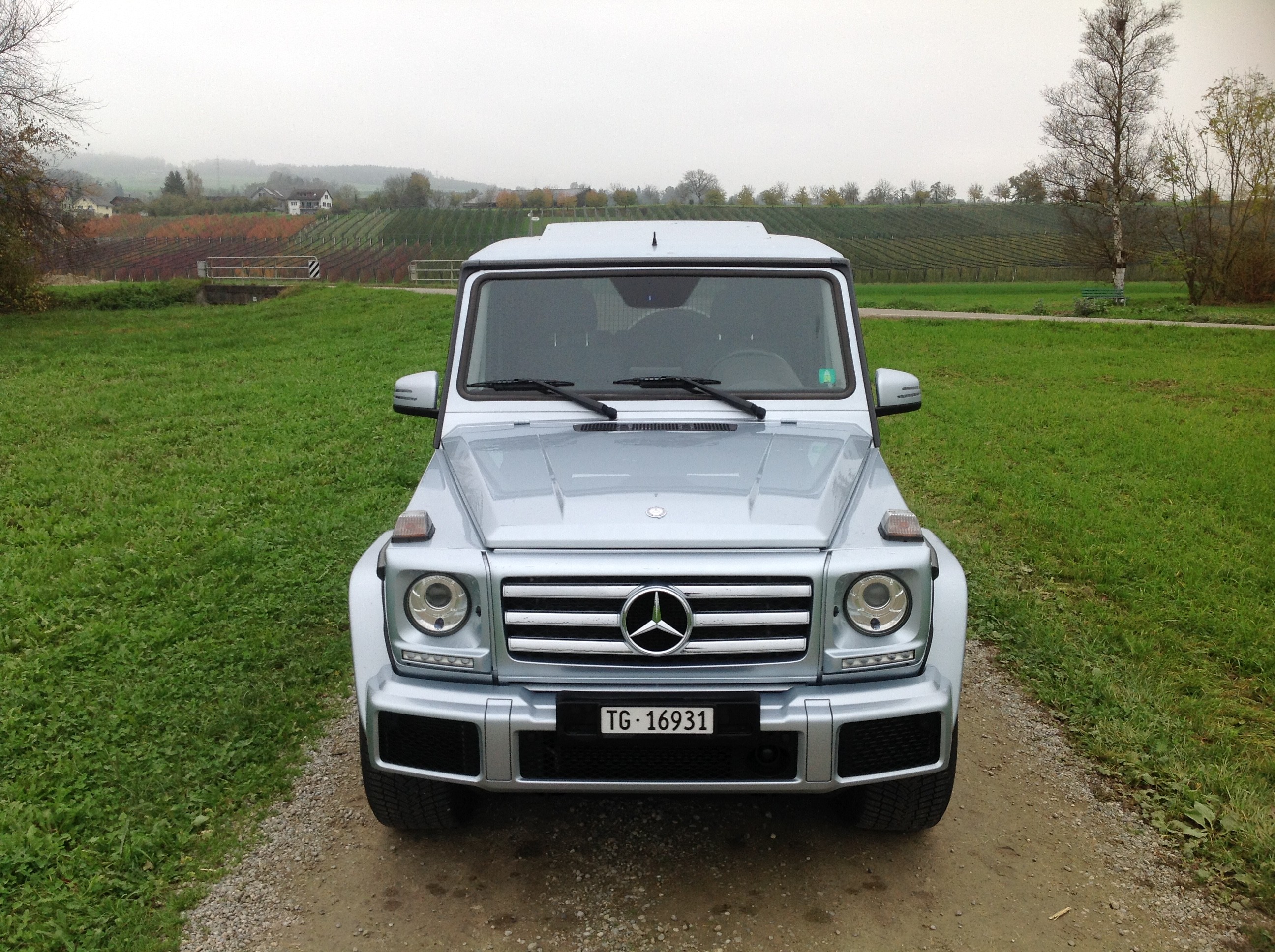 MERCEDES-BENZ G 350 d Professional 7G-Tronic