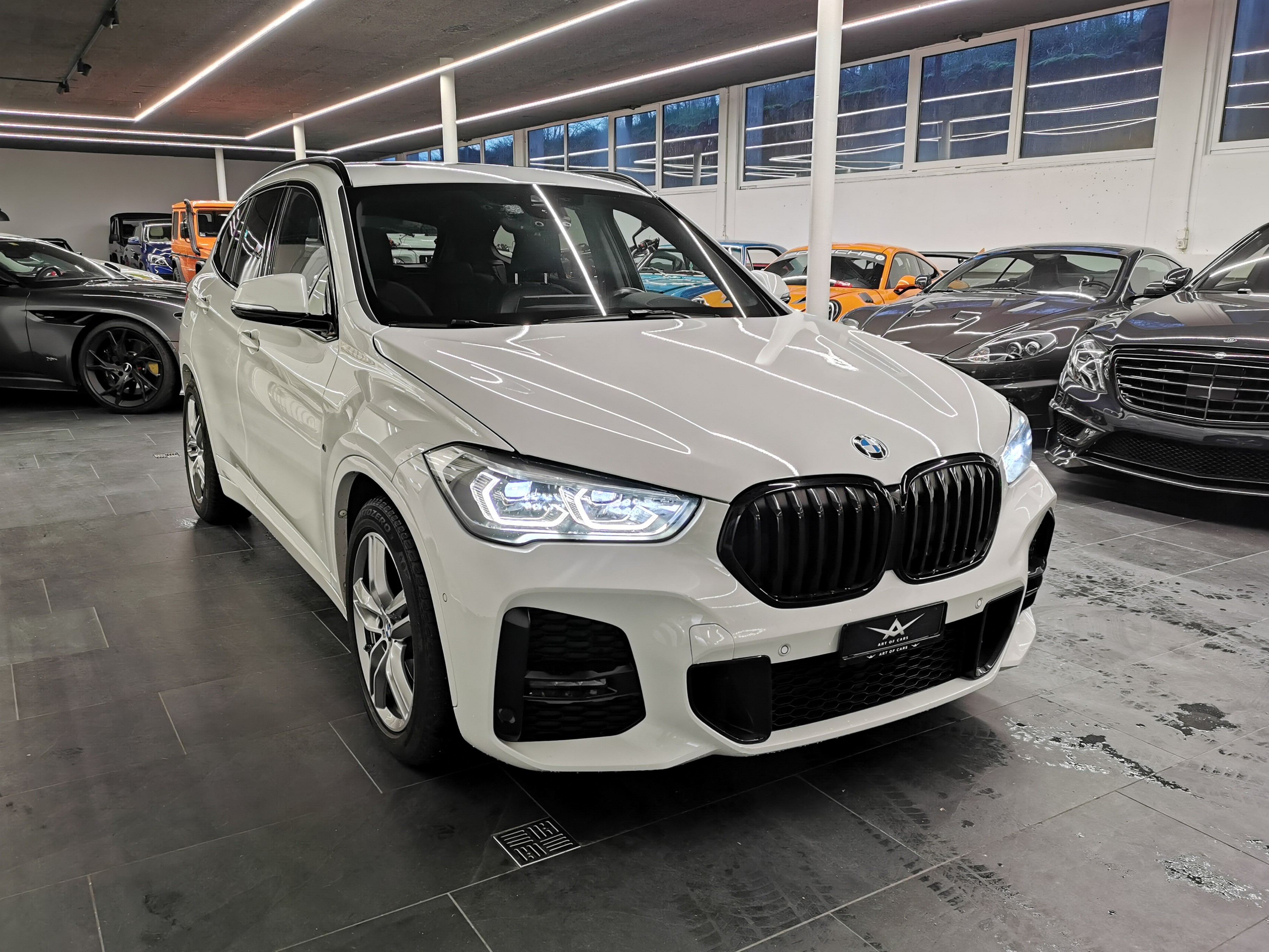 BMW X1 xDrive 25d M 260 PS däHLer Competition Line Sport Steptronic HEAD-UP VOLL AHK LEDER SPORTSITZE PANO HARMAN-KARDON