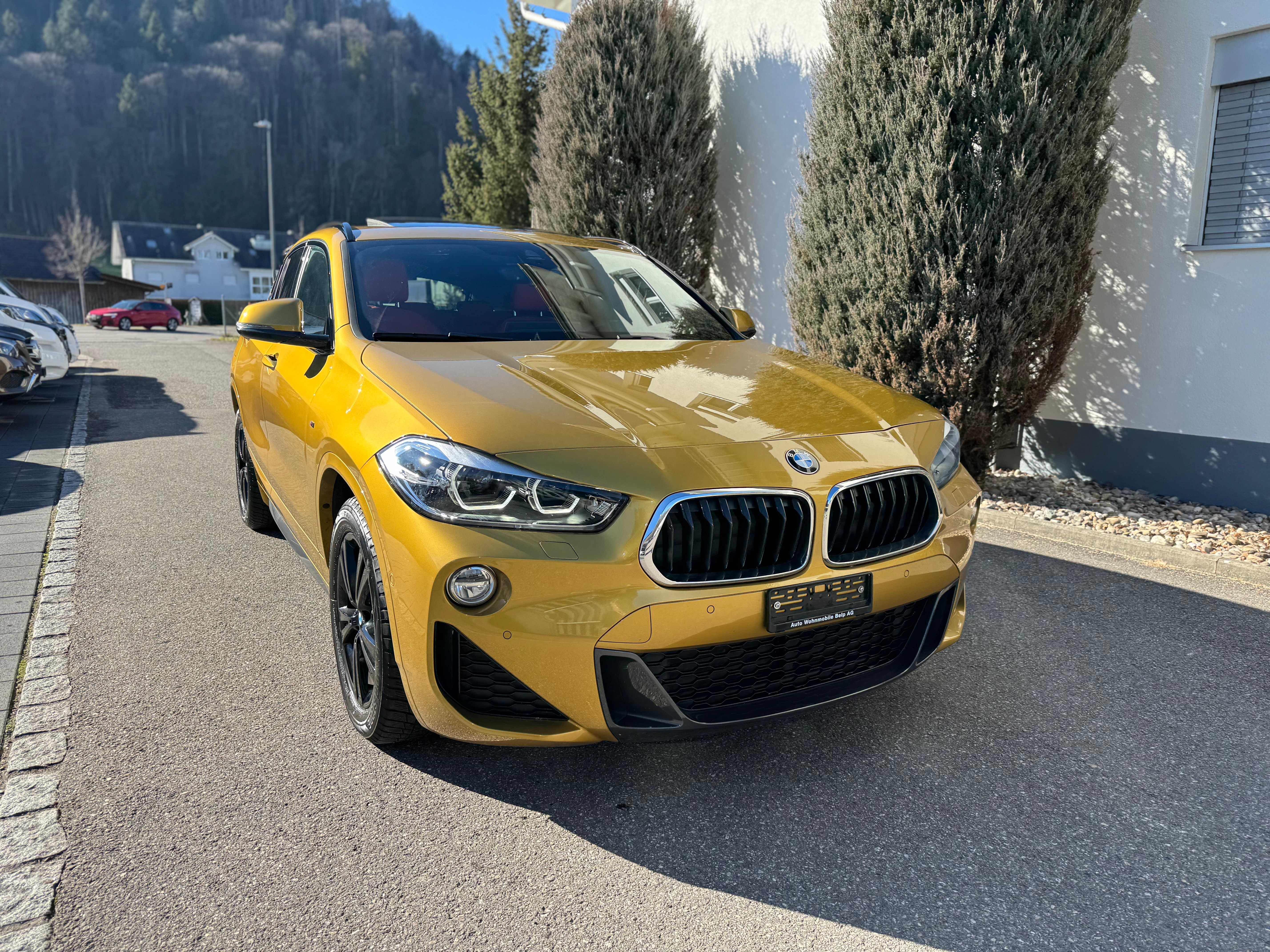 BMW X2 xDrive 20d M Sport Steptronic