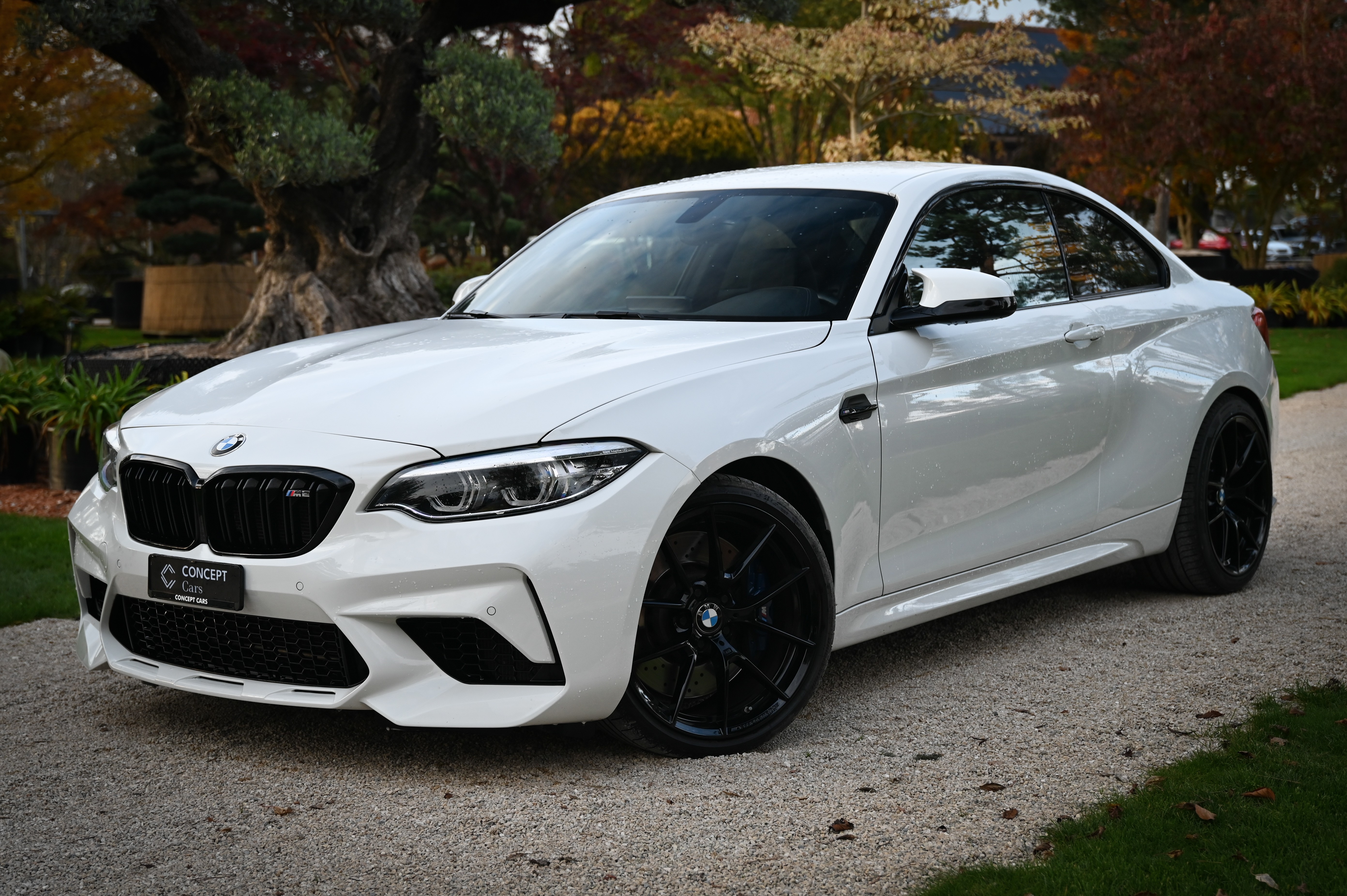 BMW M2 Competition Drivelogic