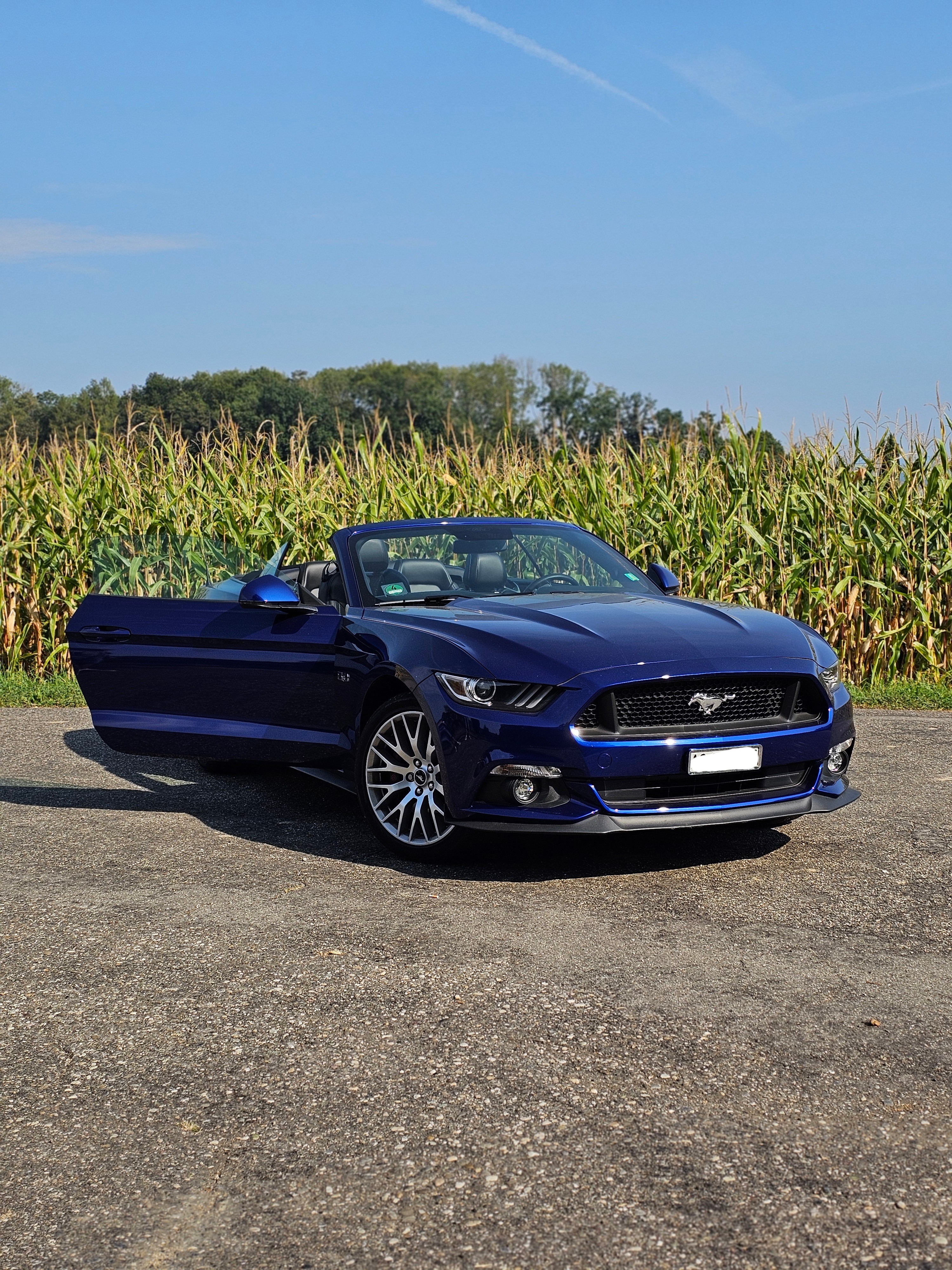 FORD Mustang Convertible 5.0 V8 GT