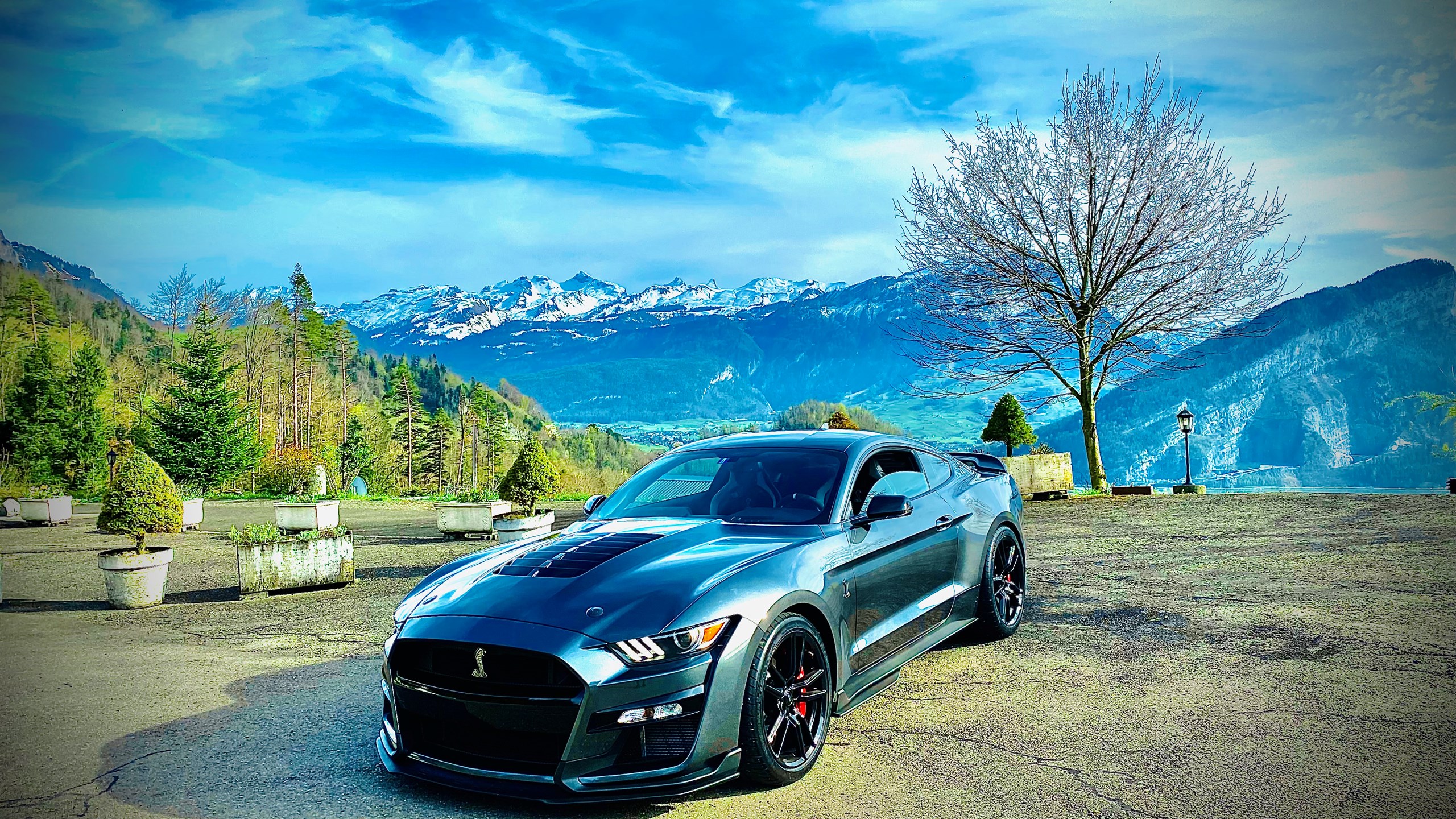 FORD MUSTANG GT 500