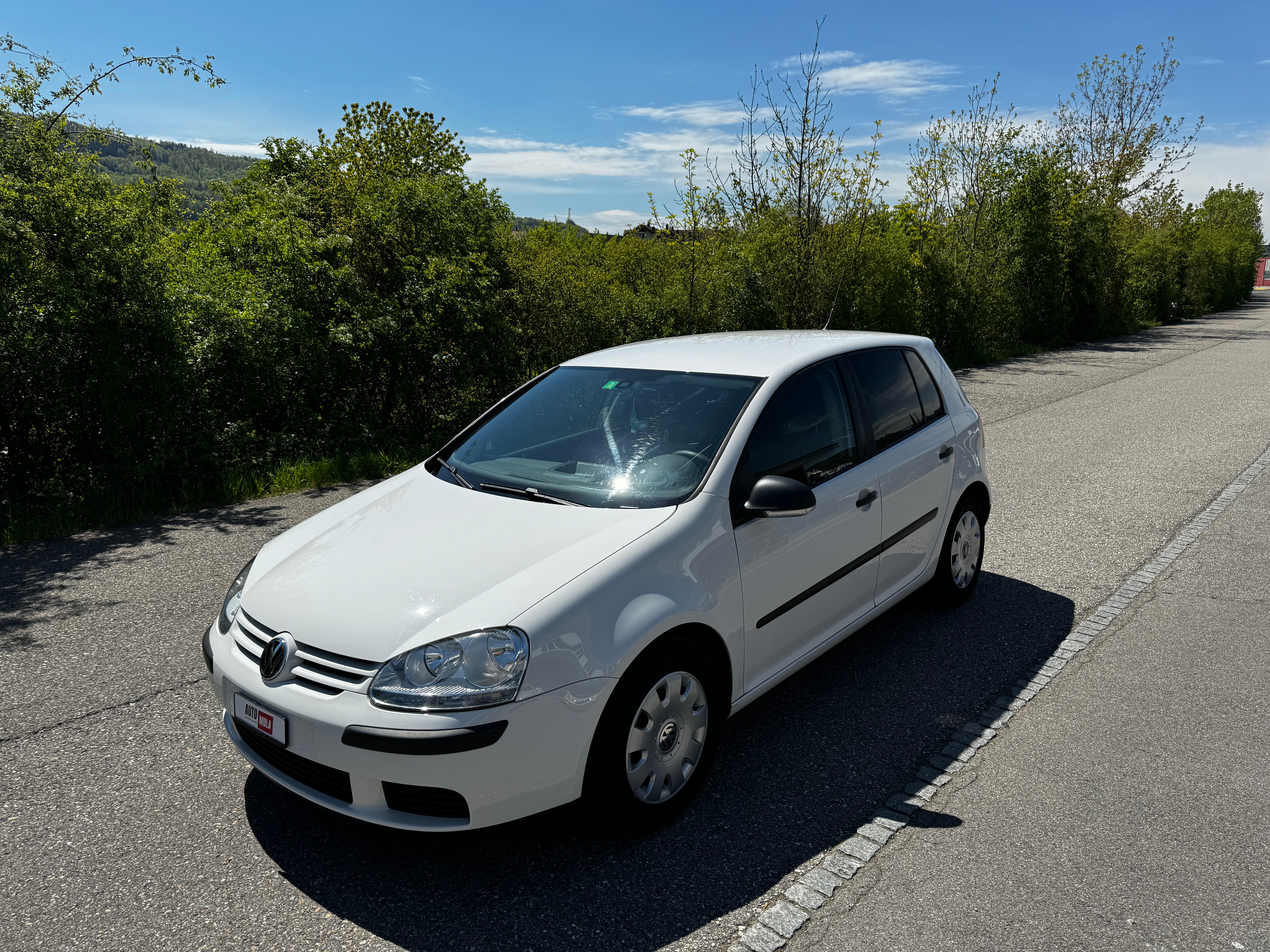 VW Golf 1.9 TDI Trendline DSG