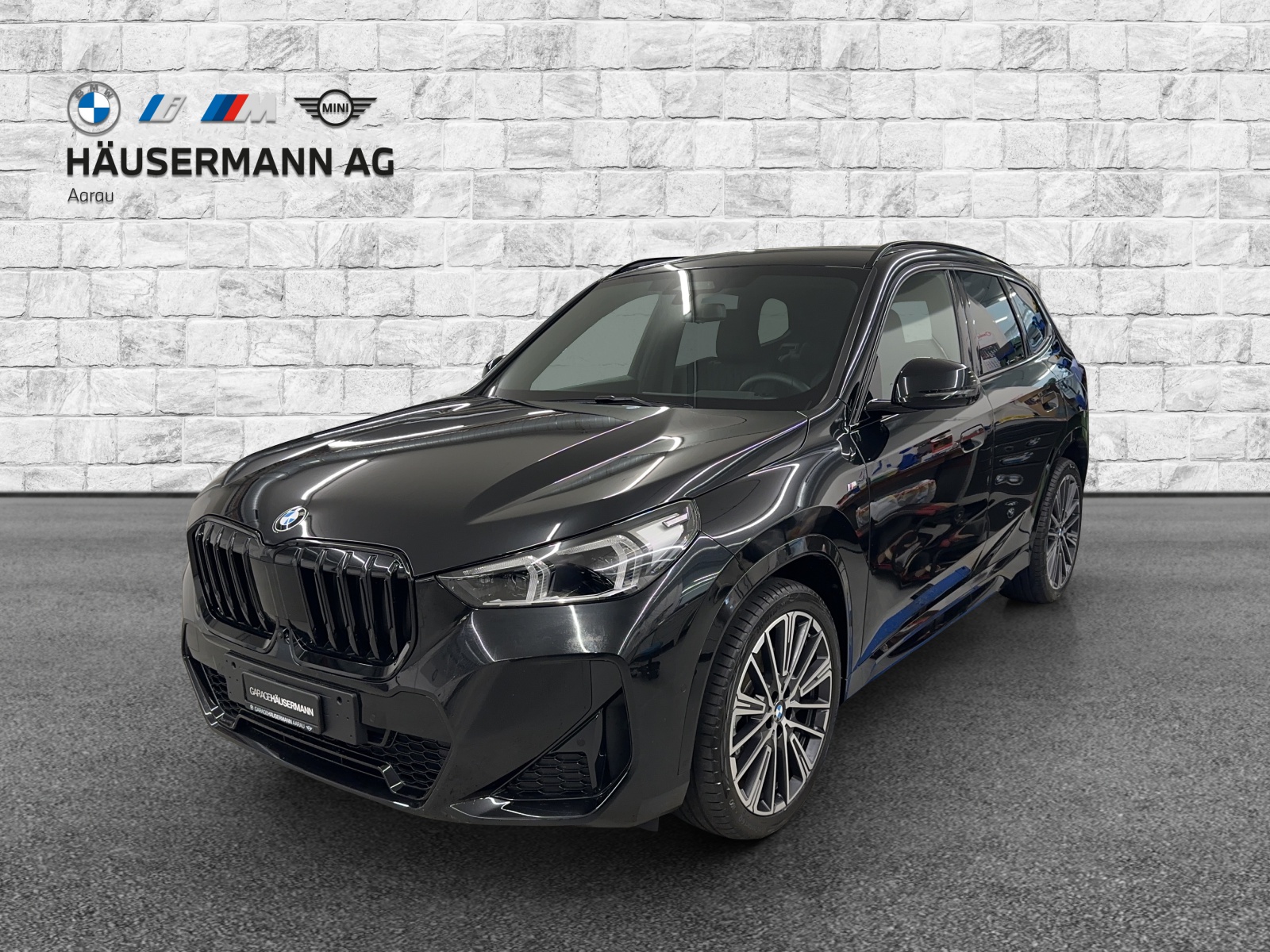 BMW X1 xDrive 23d 48V