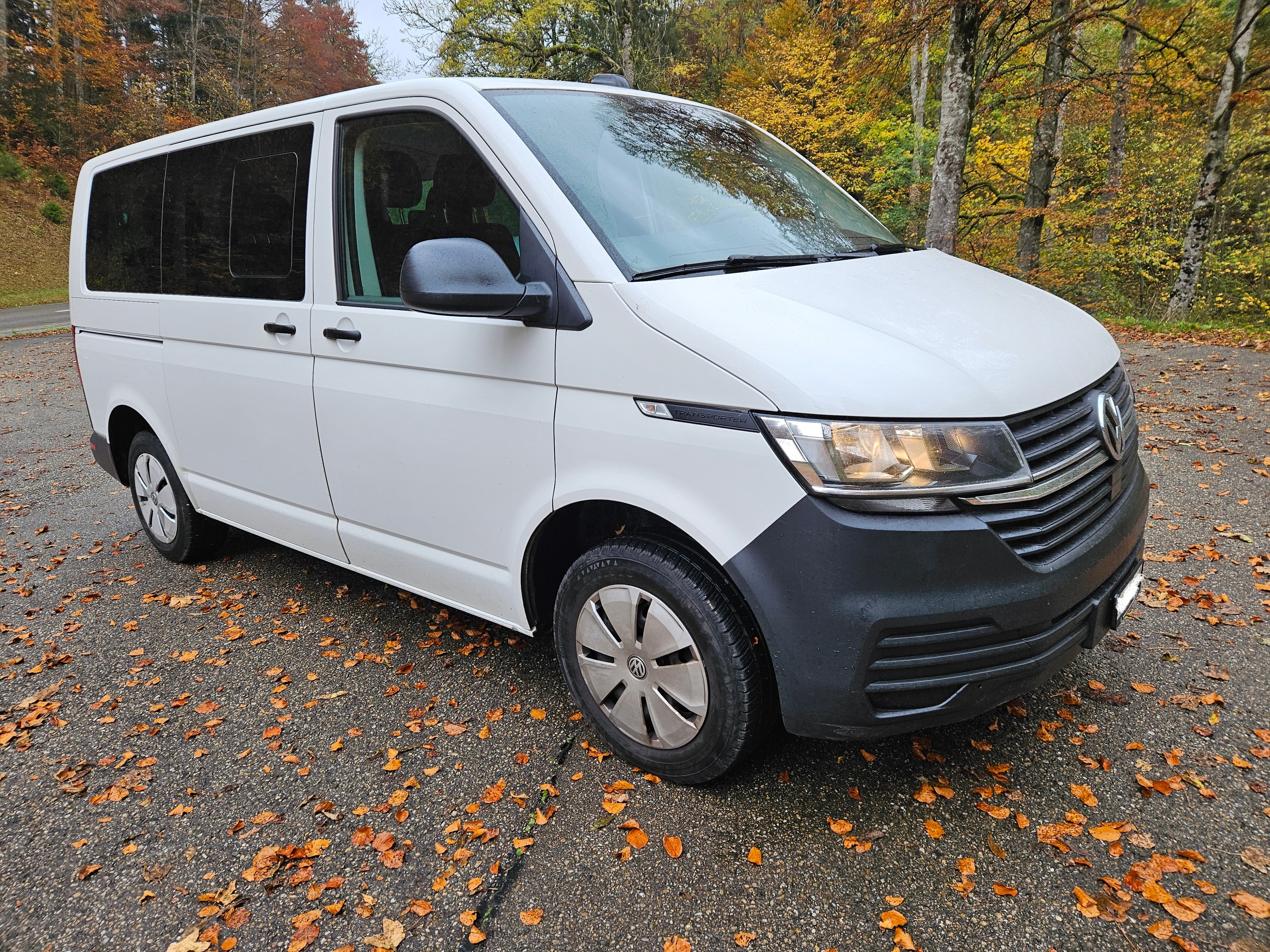 VW T6.1 2.0 TDI DSG9 SITZE frisch ab MFK frisch ab service