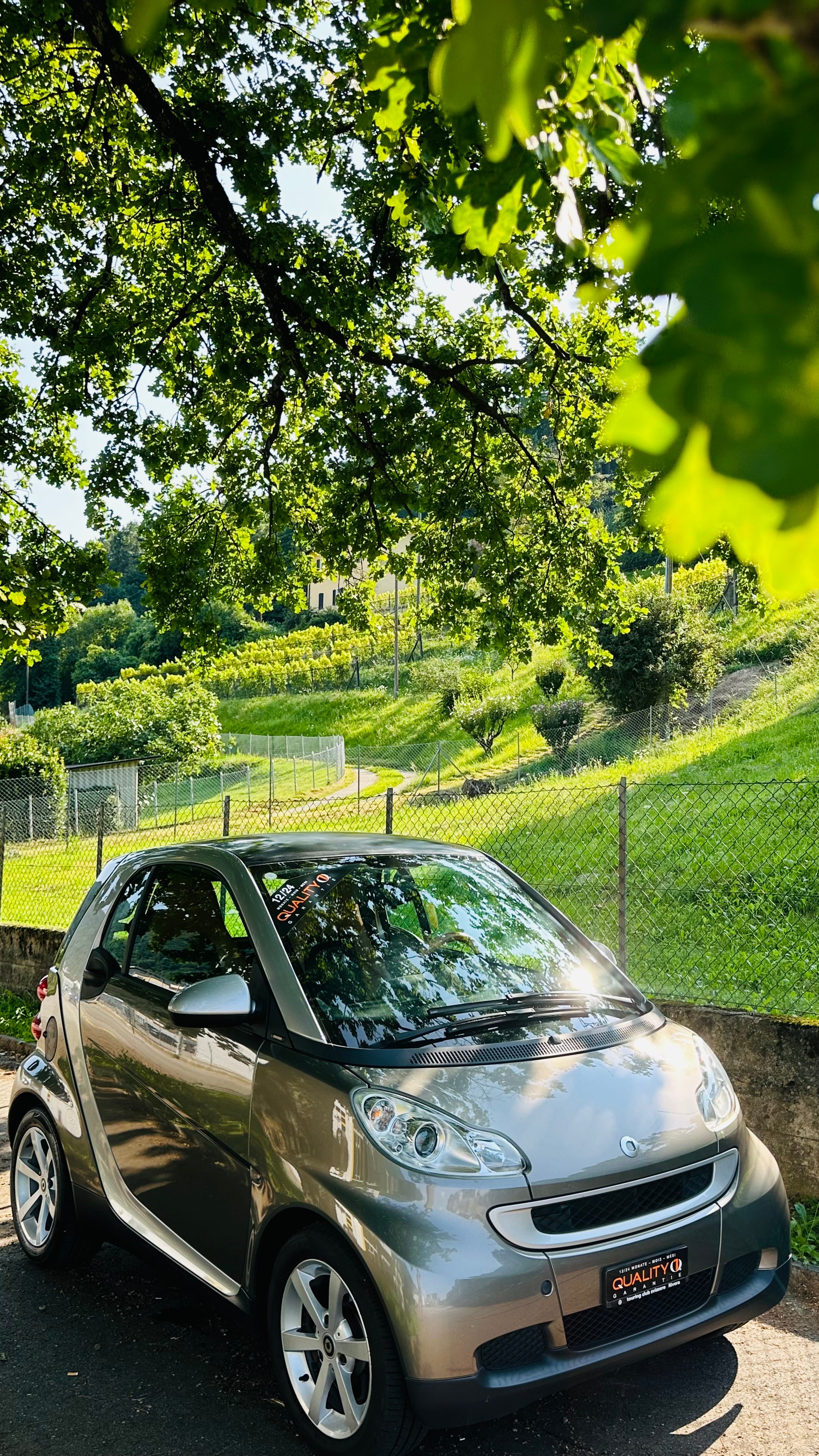 SMART fortwo passion softouch