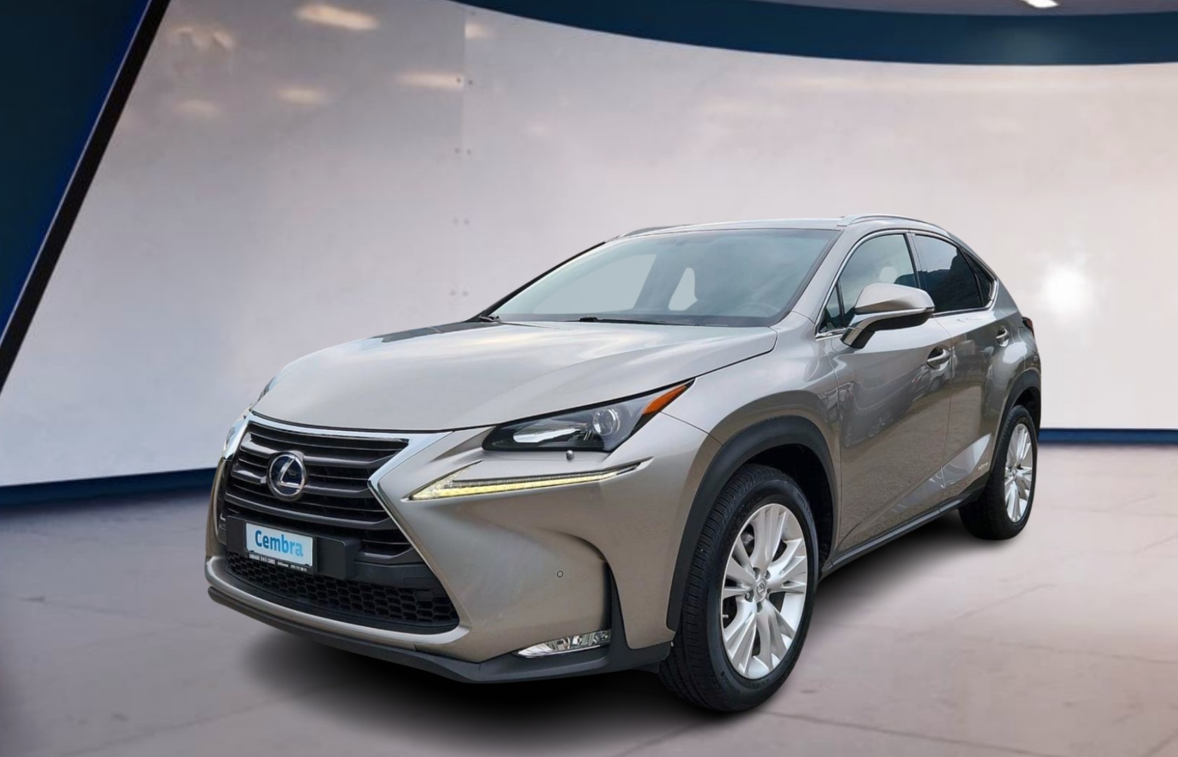 LEXUS NX 300h excellence E-Four Automatic