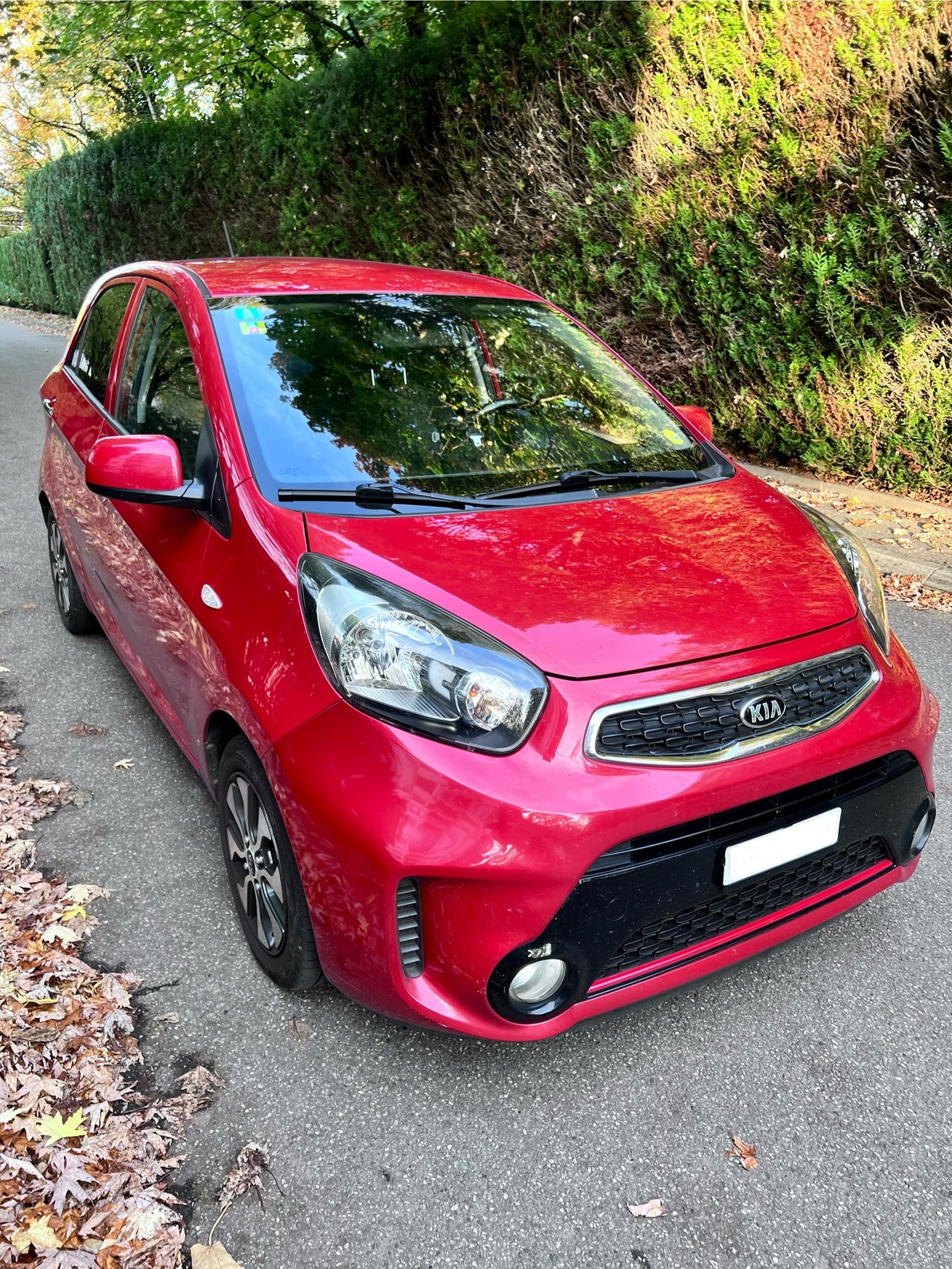 KIA Picanto 1.0 CVVT Basic