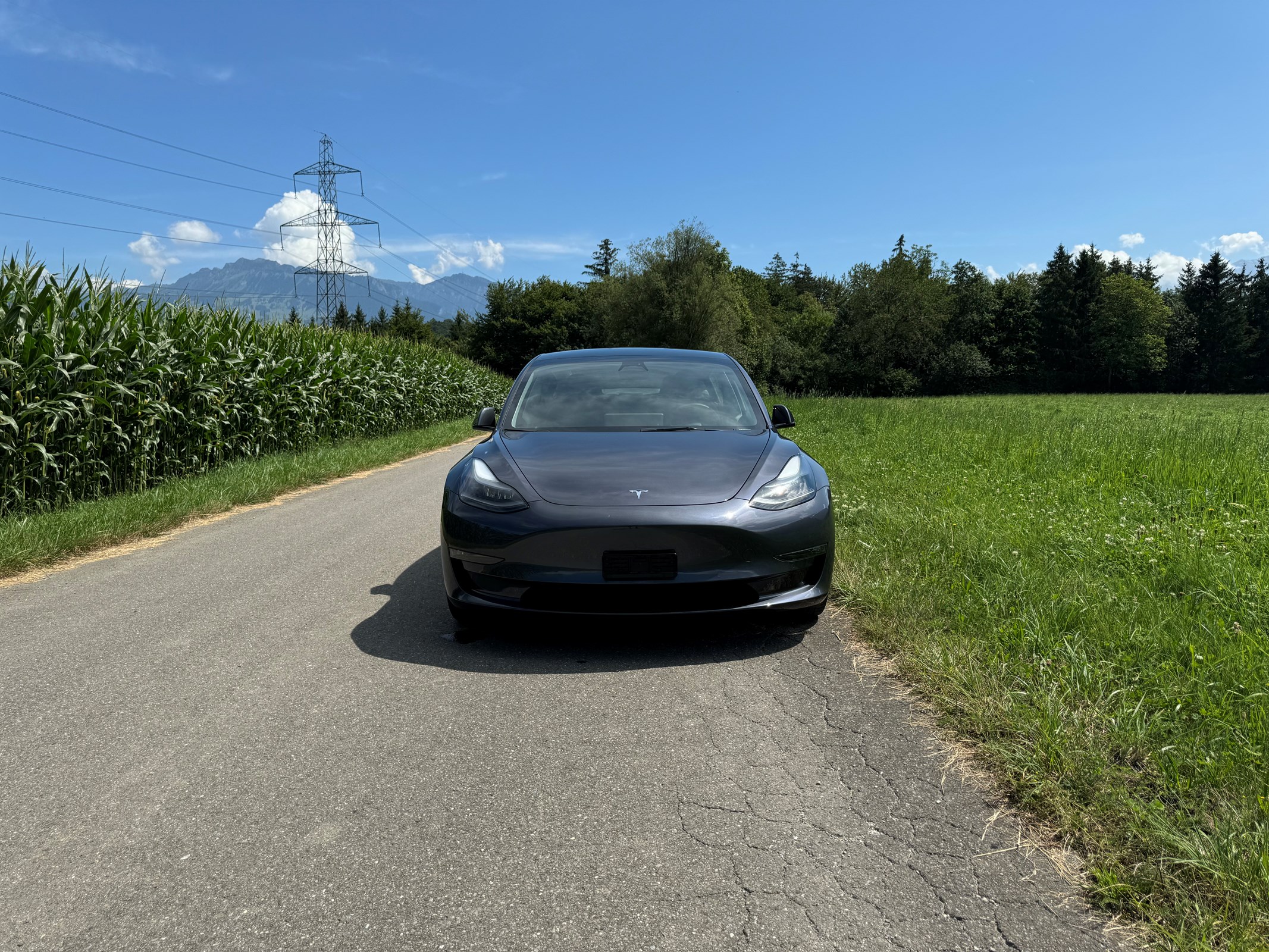 TESLA Model 3 Long Range Dual Motor AWD